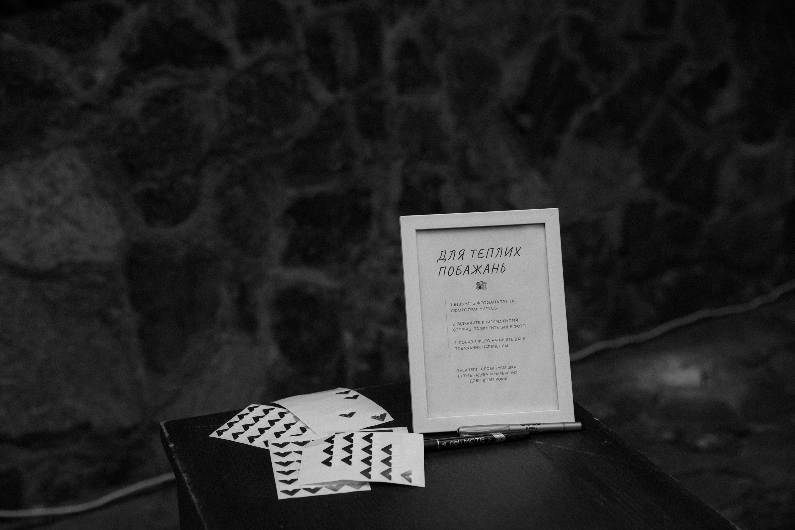 Влад + Яна. Весільний фотограф Ілля Пятнічний Вінниця