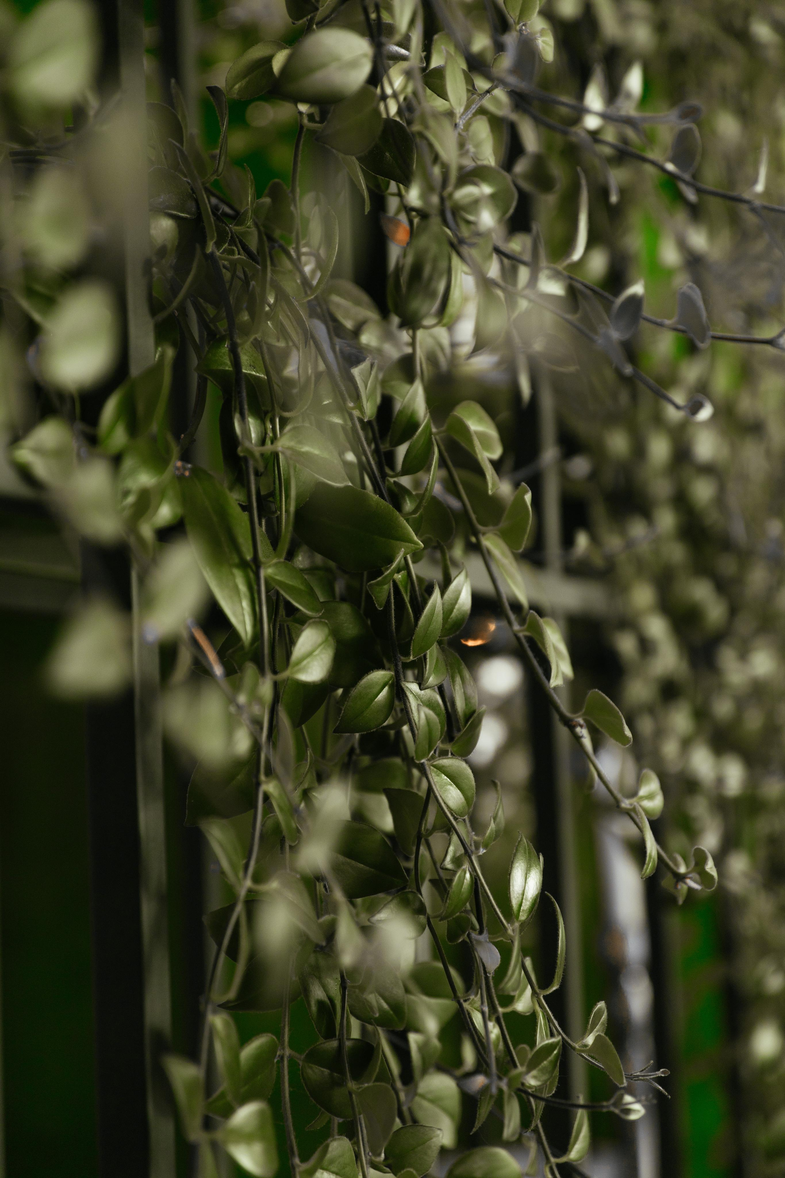 Cherry Lake. Весільний фотограф Ілля Пятнічний Вінниця