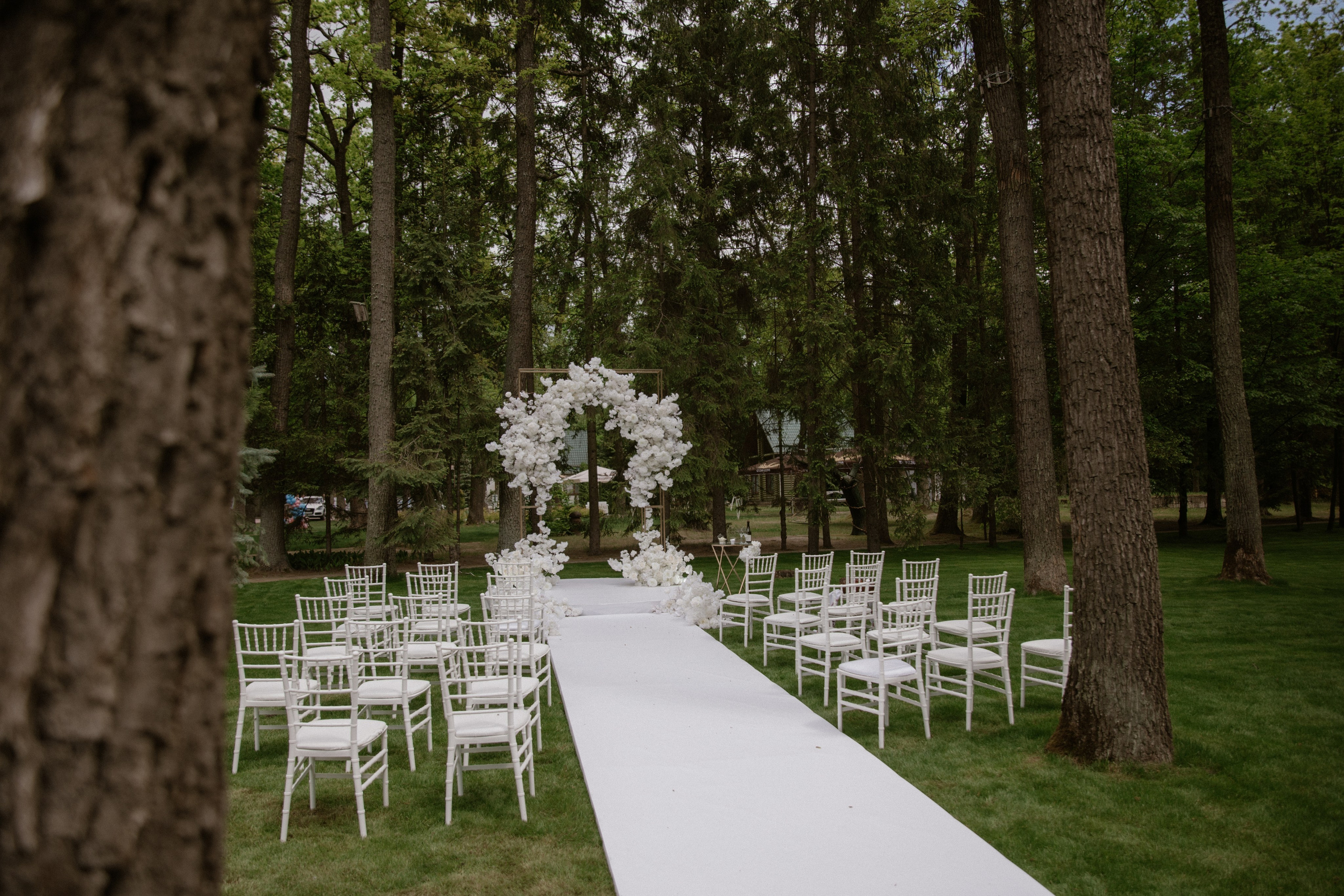 Денис + Софія. Весільний фотограф Ілля Пятнічний Вінниця