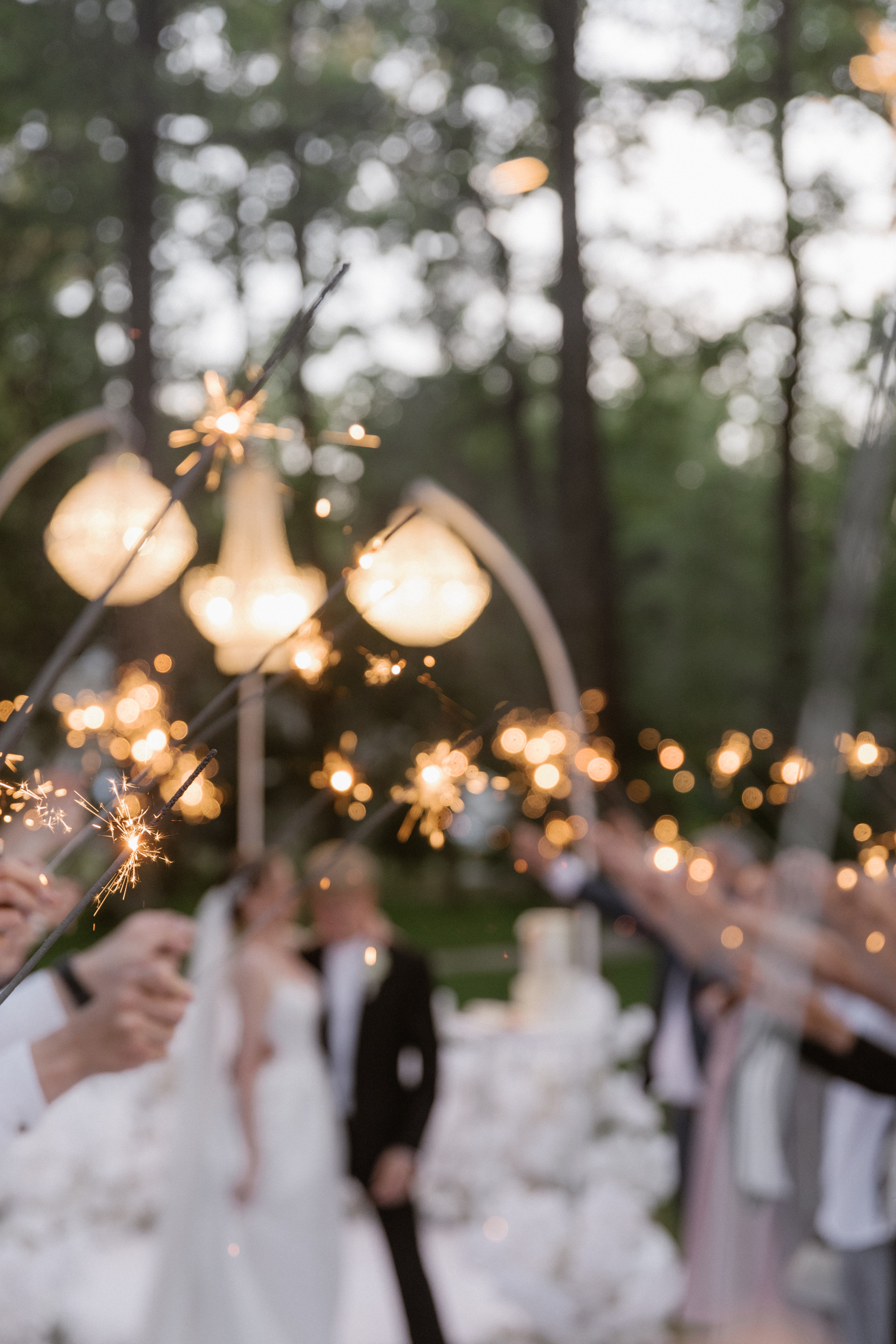 Валік + Аліса. Весільний фотограф Ілля Пятнічний Вінниця