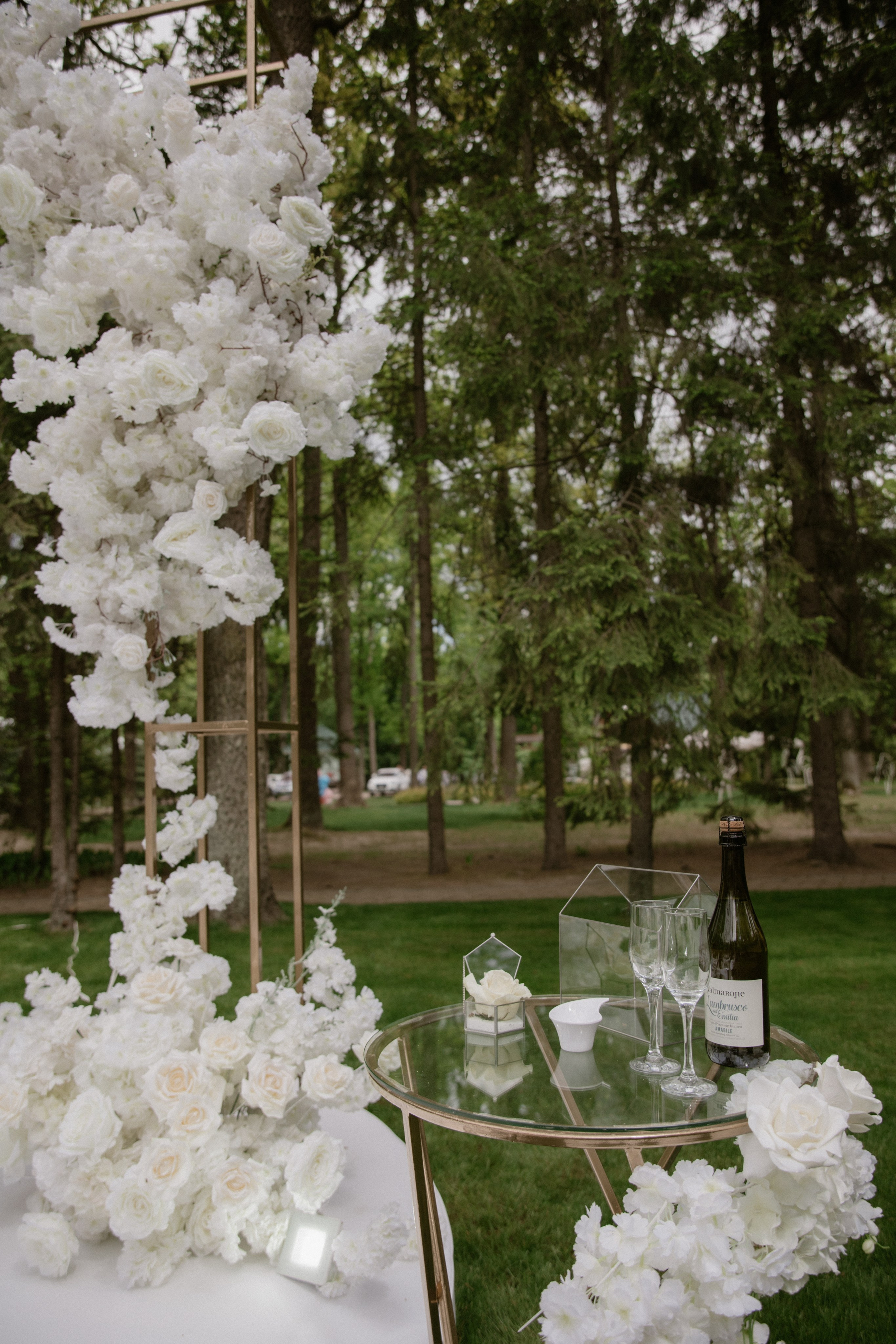 Денис + Софія. Весільний фотограф Ілля Пятнічний Вінниця