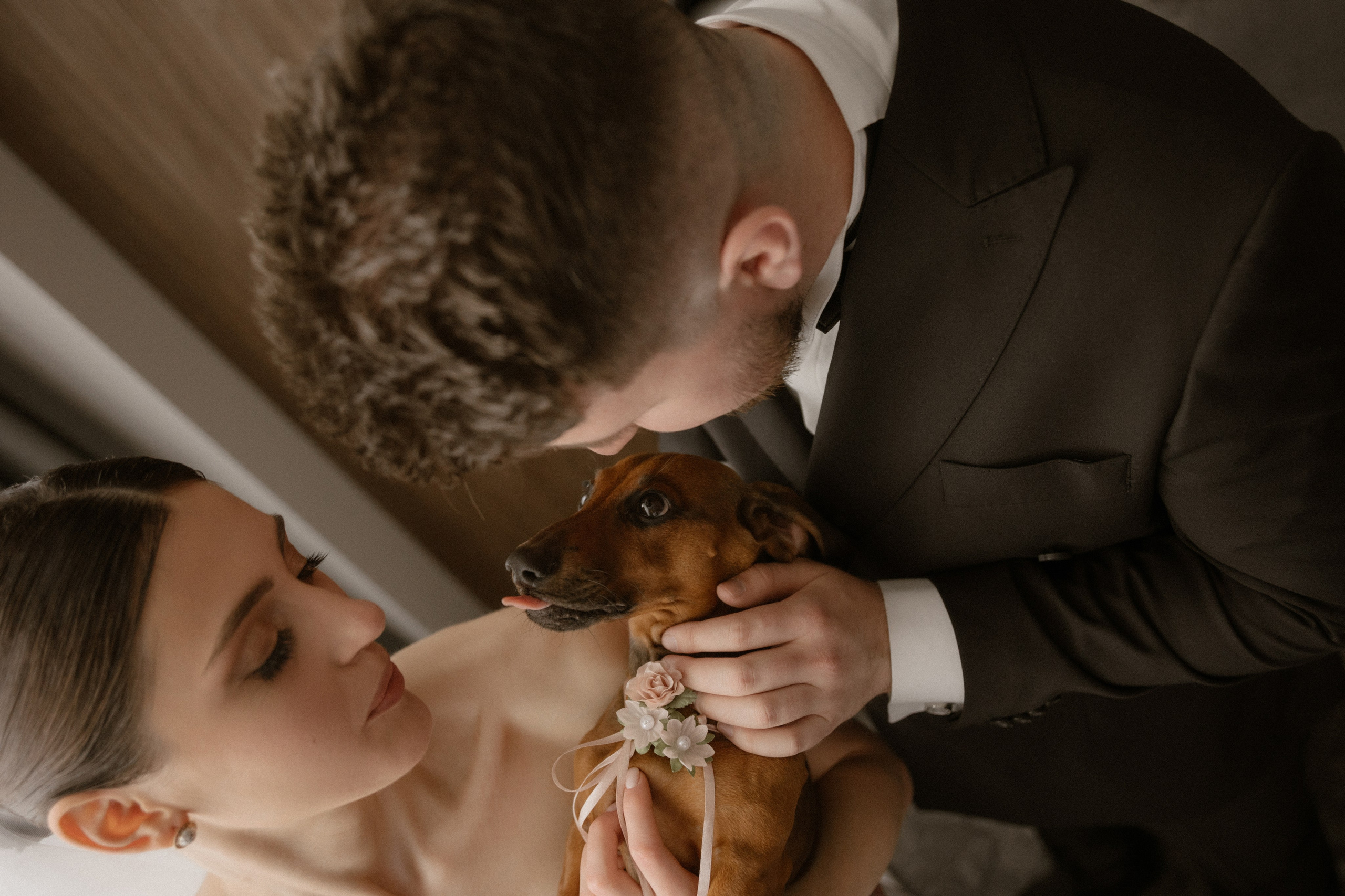 Денис + Софія. Весільний фотограф Ілля Пятнічний Вінниця