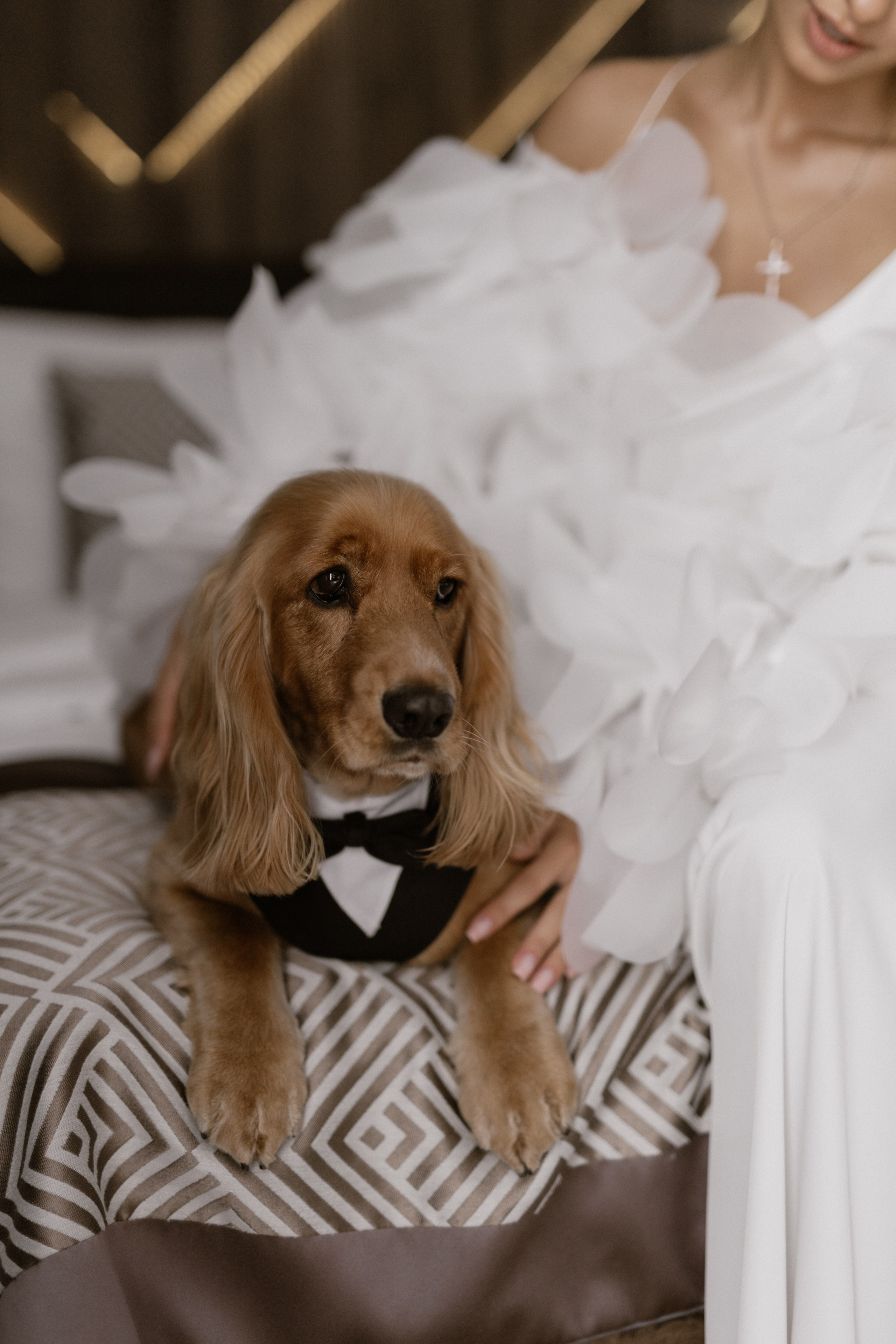 Богдан + Таня. Весільний фотограф Ілля Пятнічний Вінниця