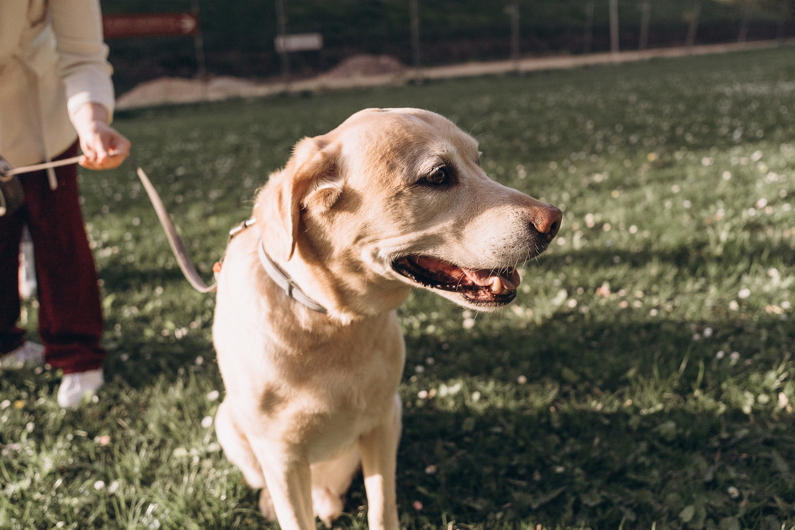 Family LetsGo. Фотограф Минск Екатерина Андреещева