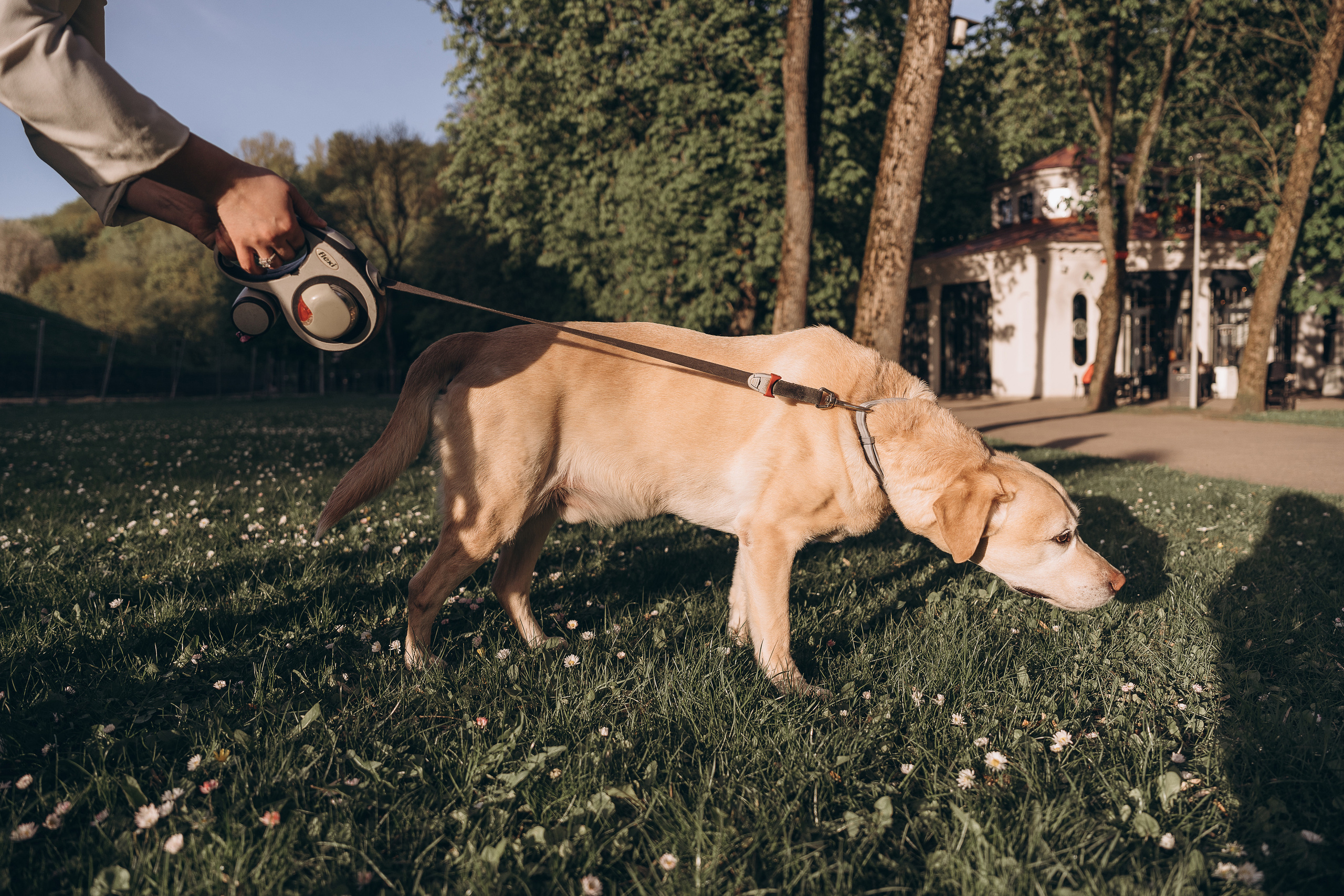 Family LetsGo. Фотограф Минск Екатерина Андреещева