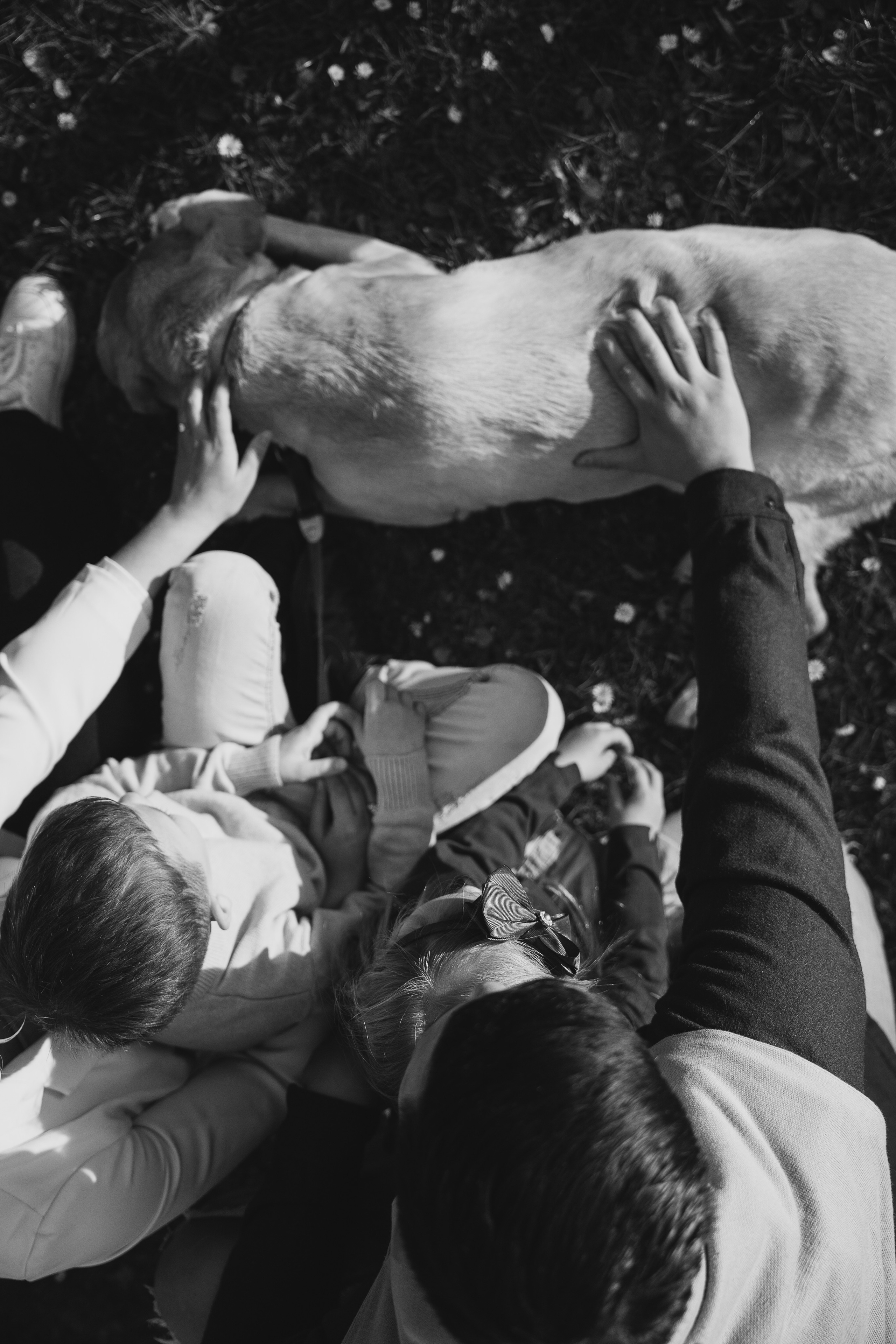 Family LetsGo. Фотограф Минск Екатерина Андреещева