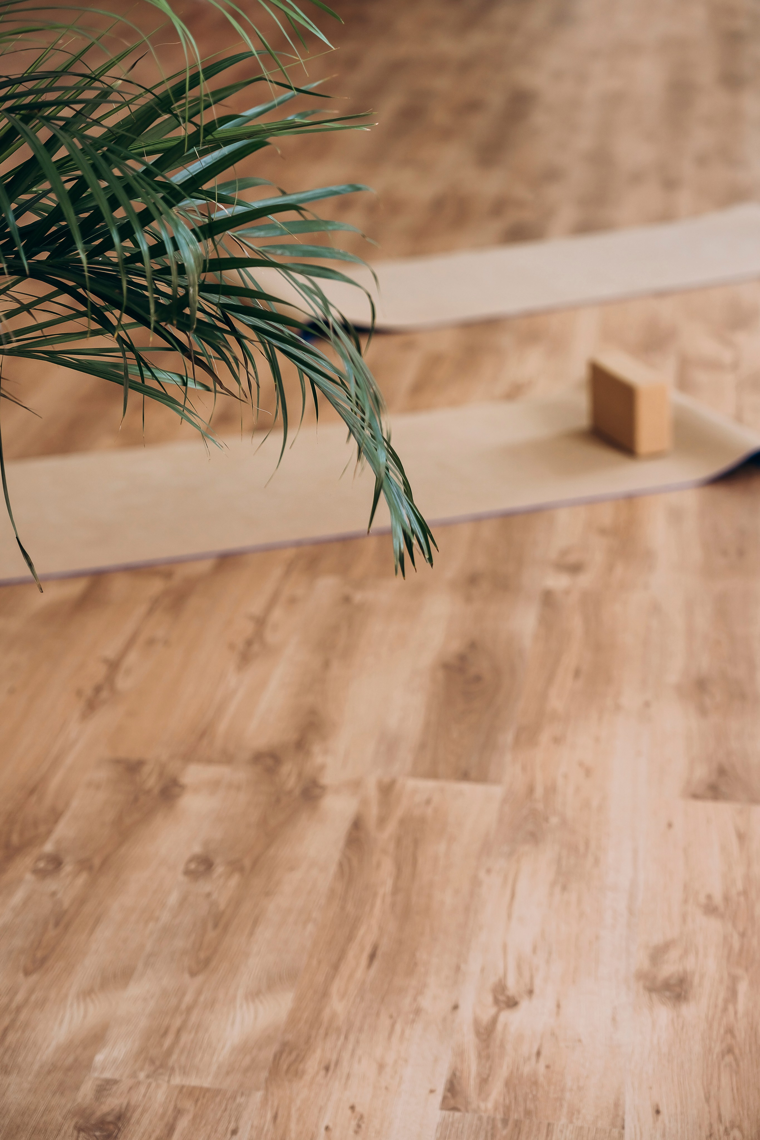 Студия растяжки. Фотограф Минск Екатерина Андреещева