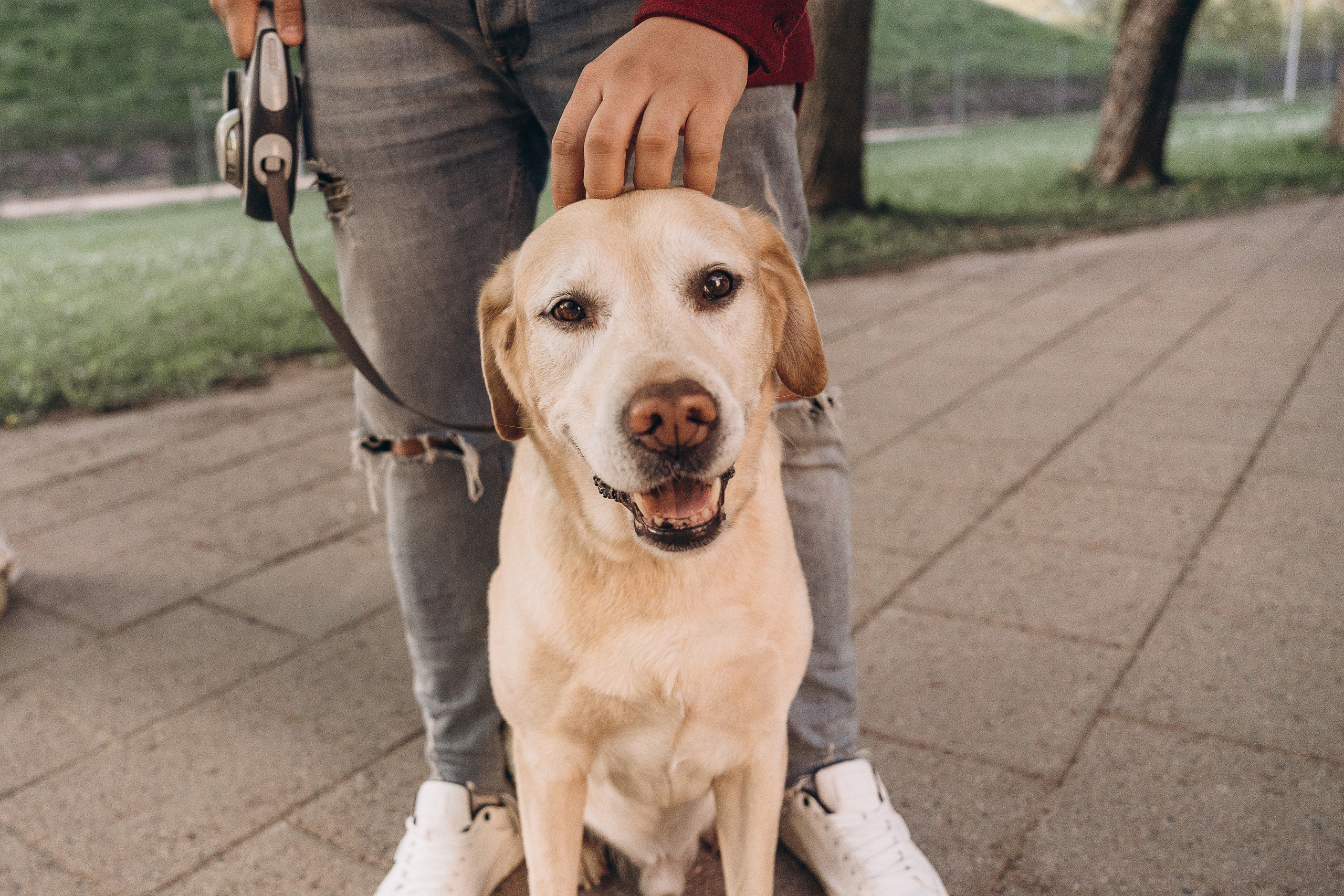 Family LetsGo. Фотограф Минск Екатерина Андреещева