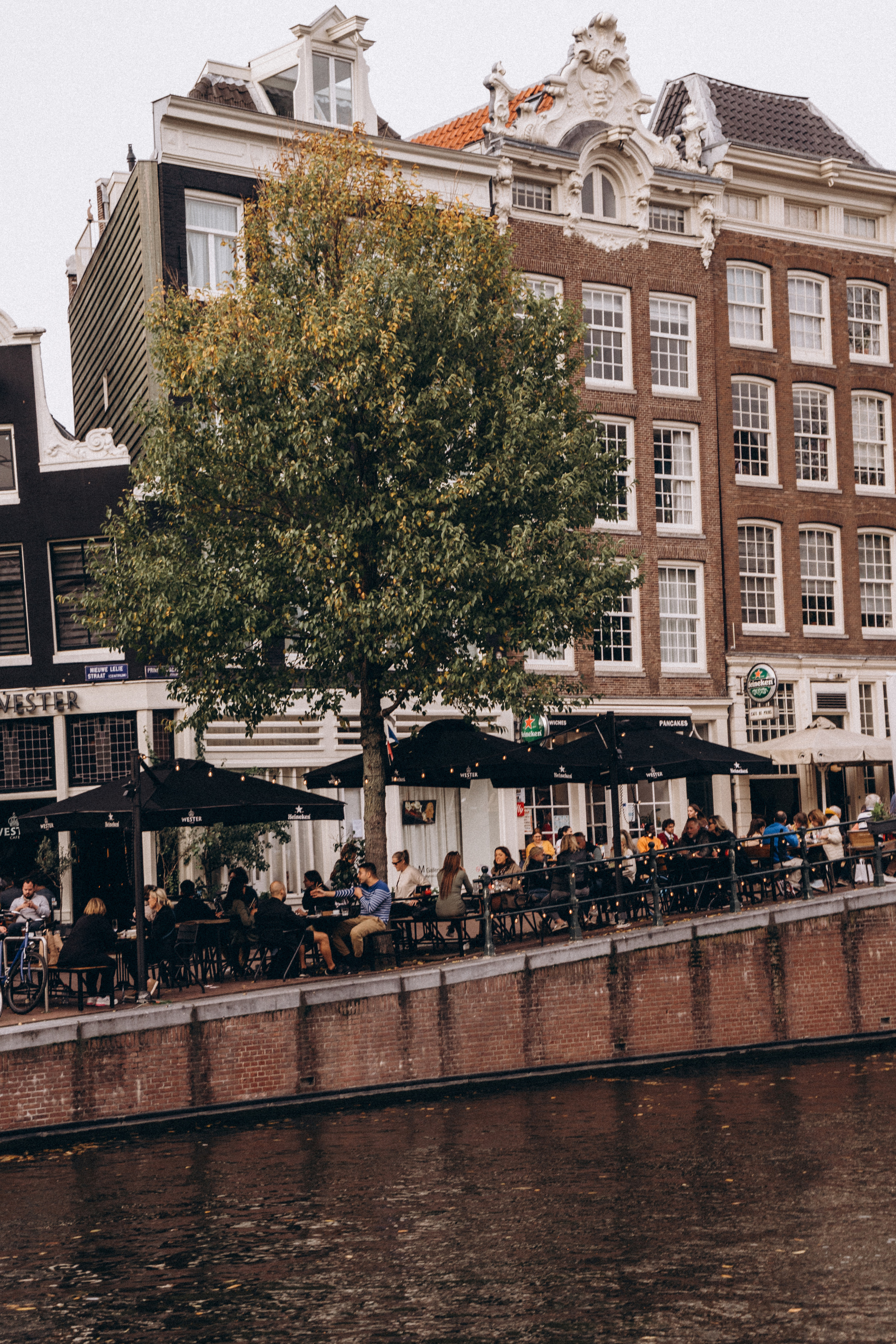 Amsterdam. Фотограф Минск Екатерина Андреещева