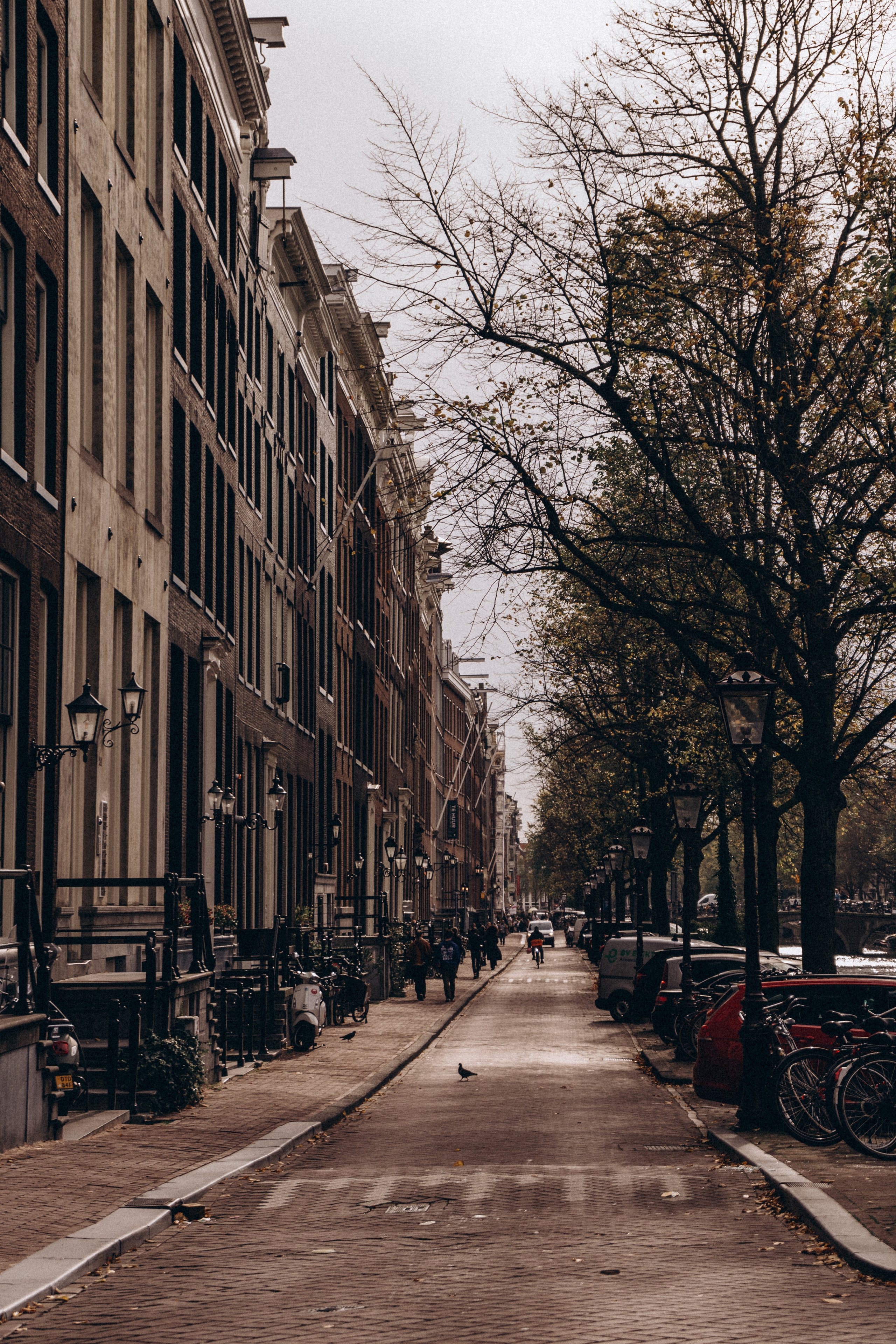 Amsterdam. Фотограф Минск Екатерина Андреещева