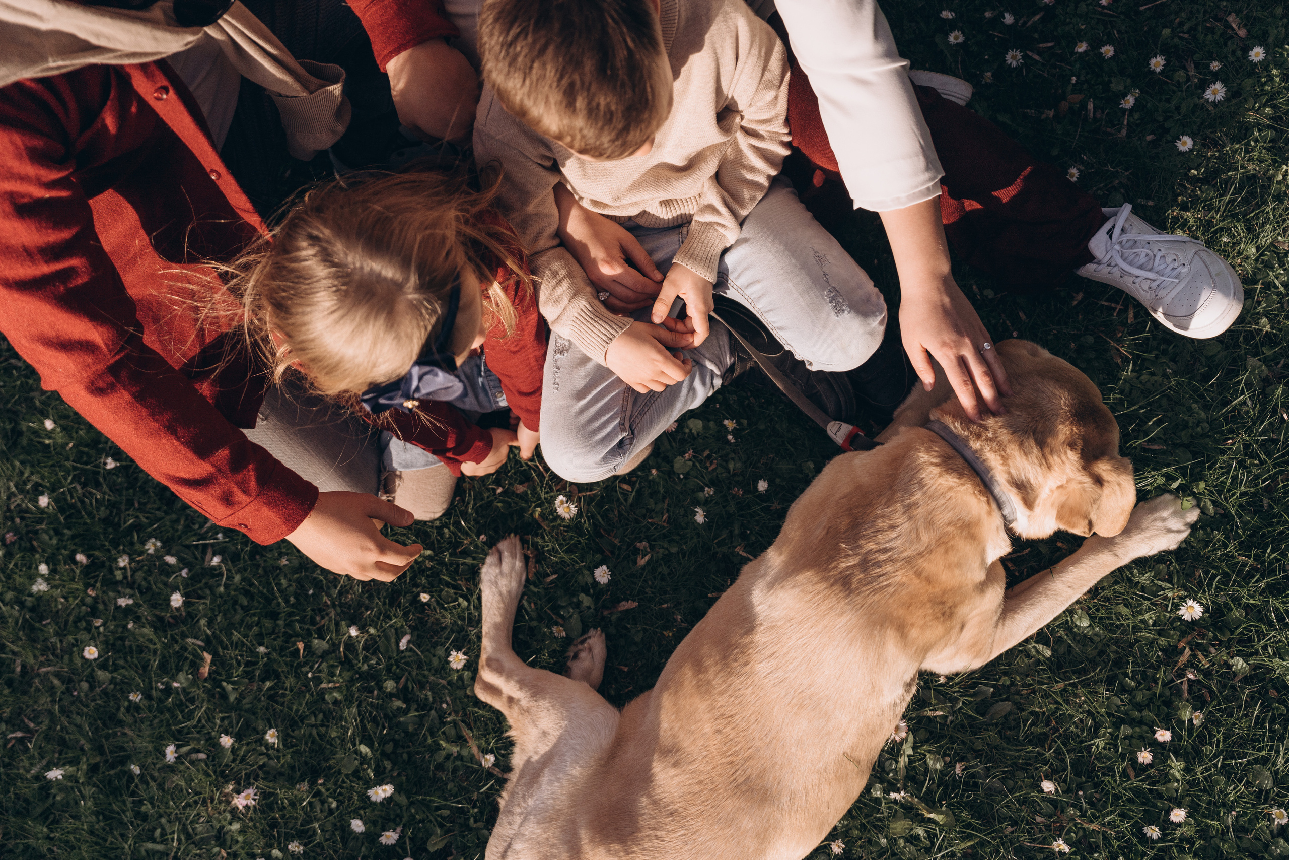 Family LetsGo. Фотограф Минск Екатерина Андреещева