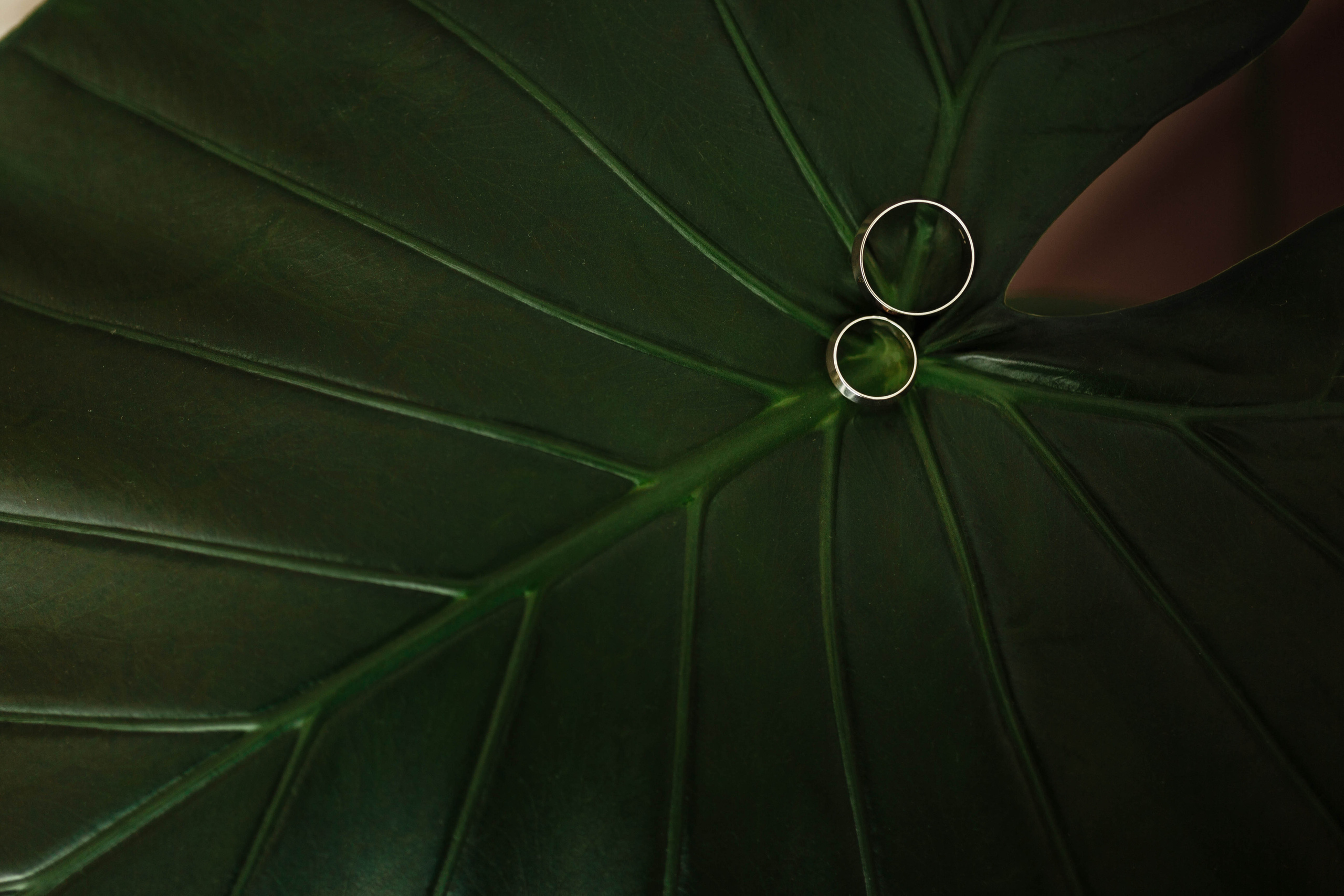 SERGIO & OKSY | Ternopil