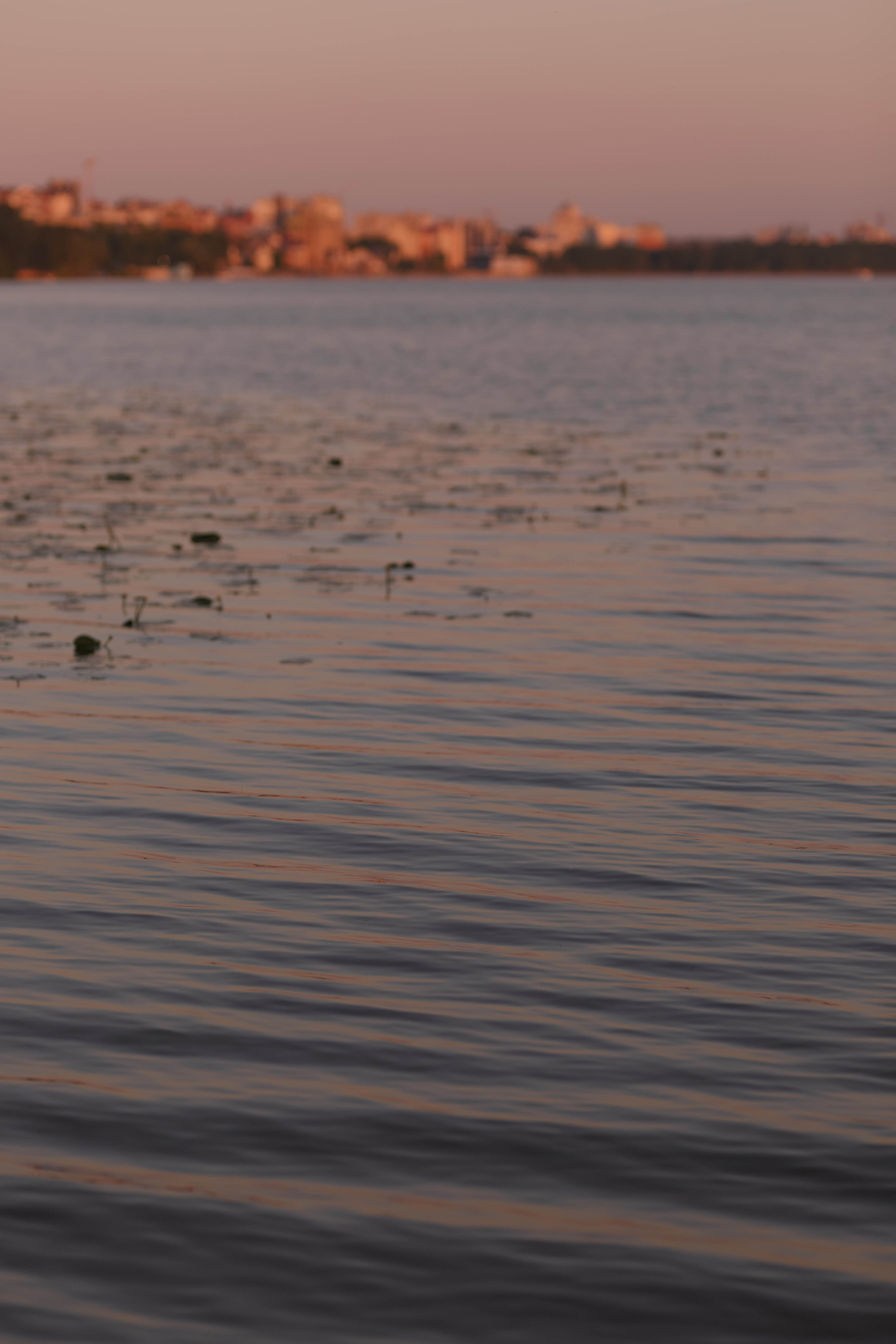 КАБРІОЛЕТОМ В ЛІТО