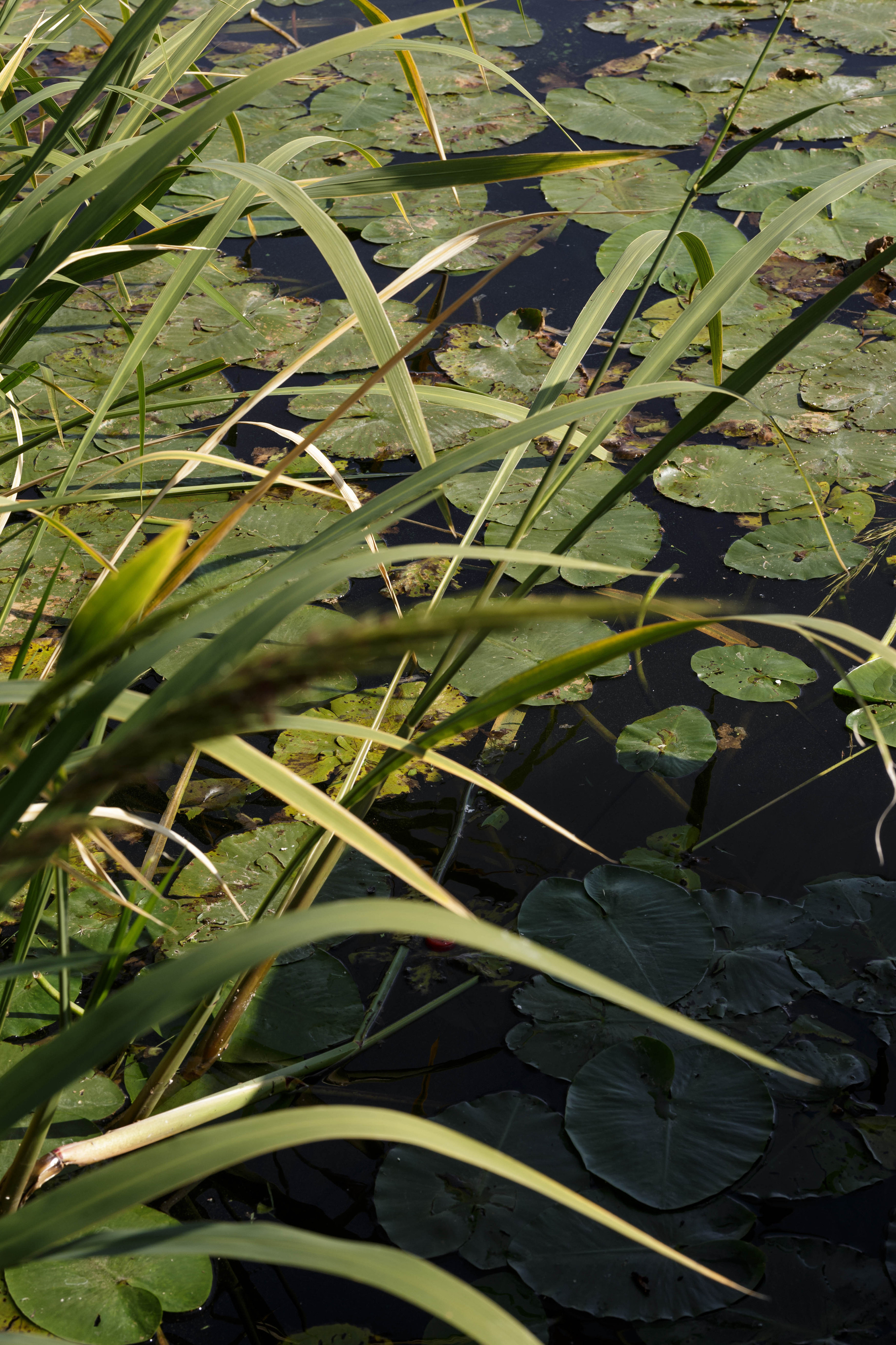 ED & LINDA | LaVilla