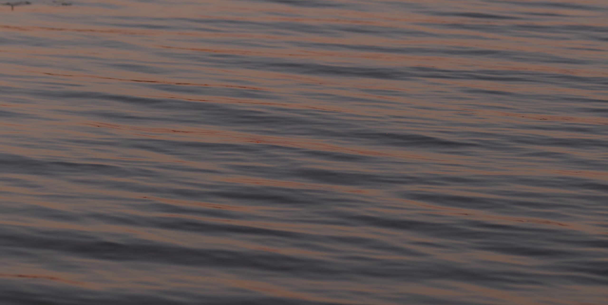 Фотограф Mike Bodnar