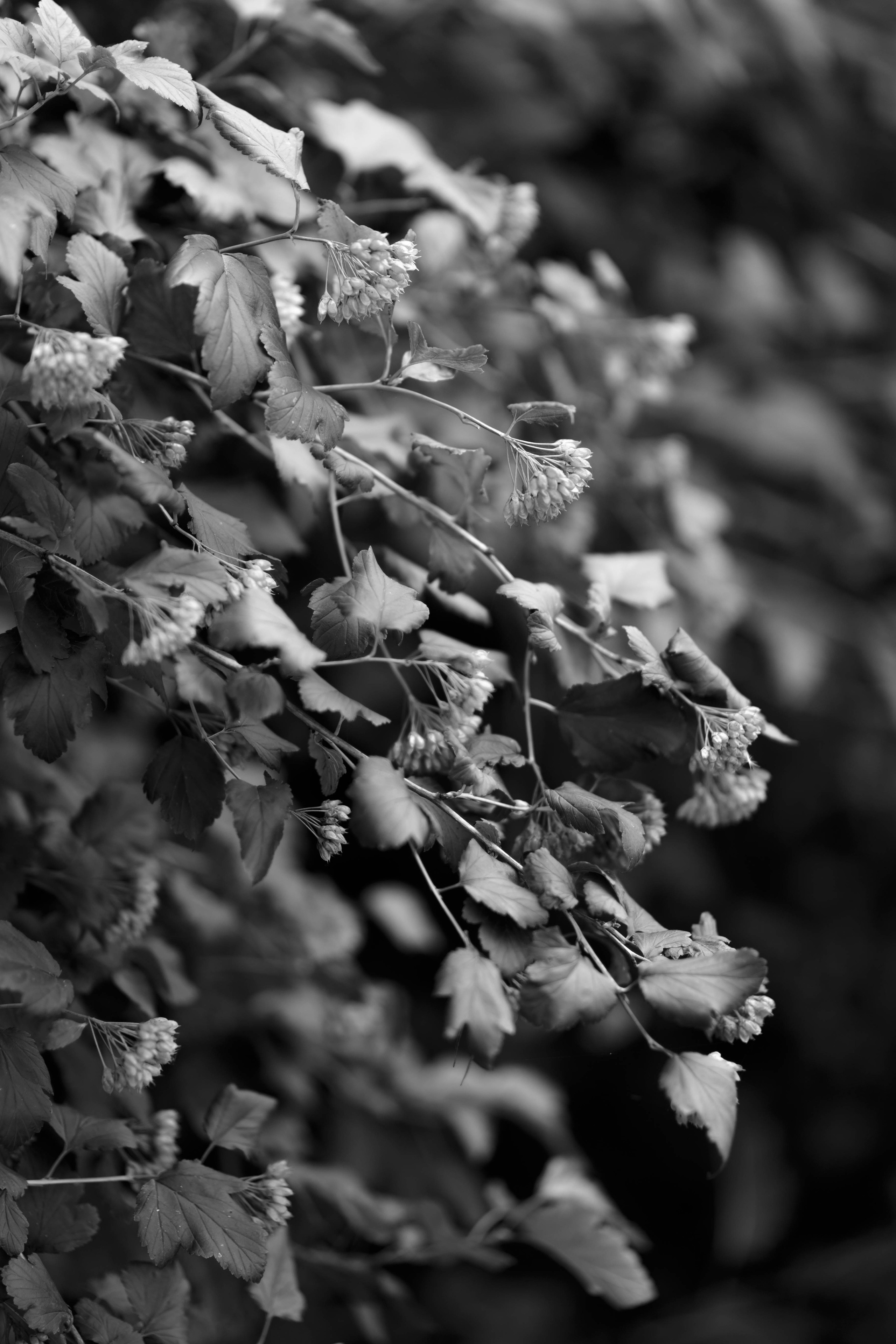 ED & LINDA | LaVilla