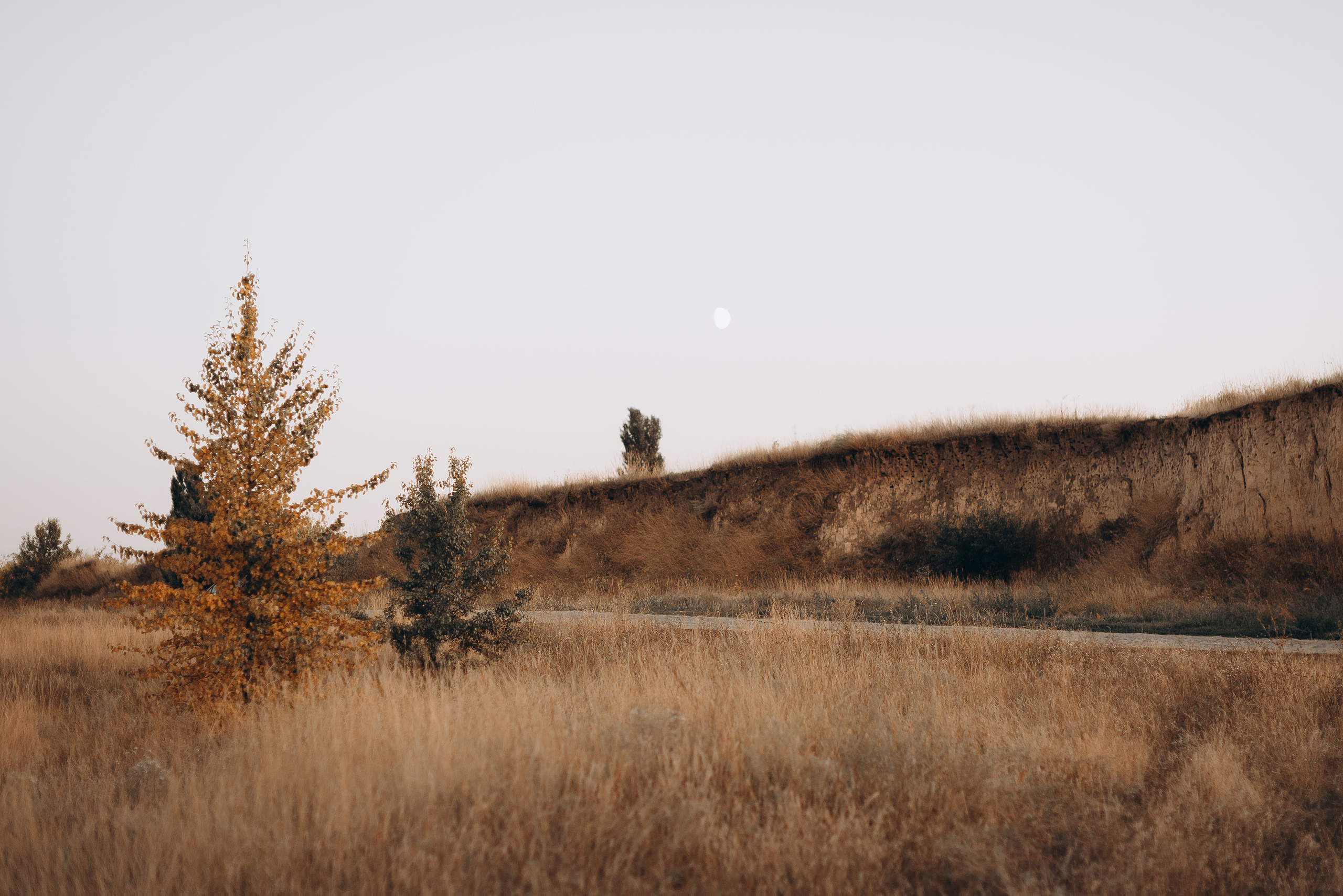 Love Story 2021. Весільний фотограф Черкаси Україна Вадим Биць