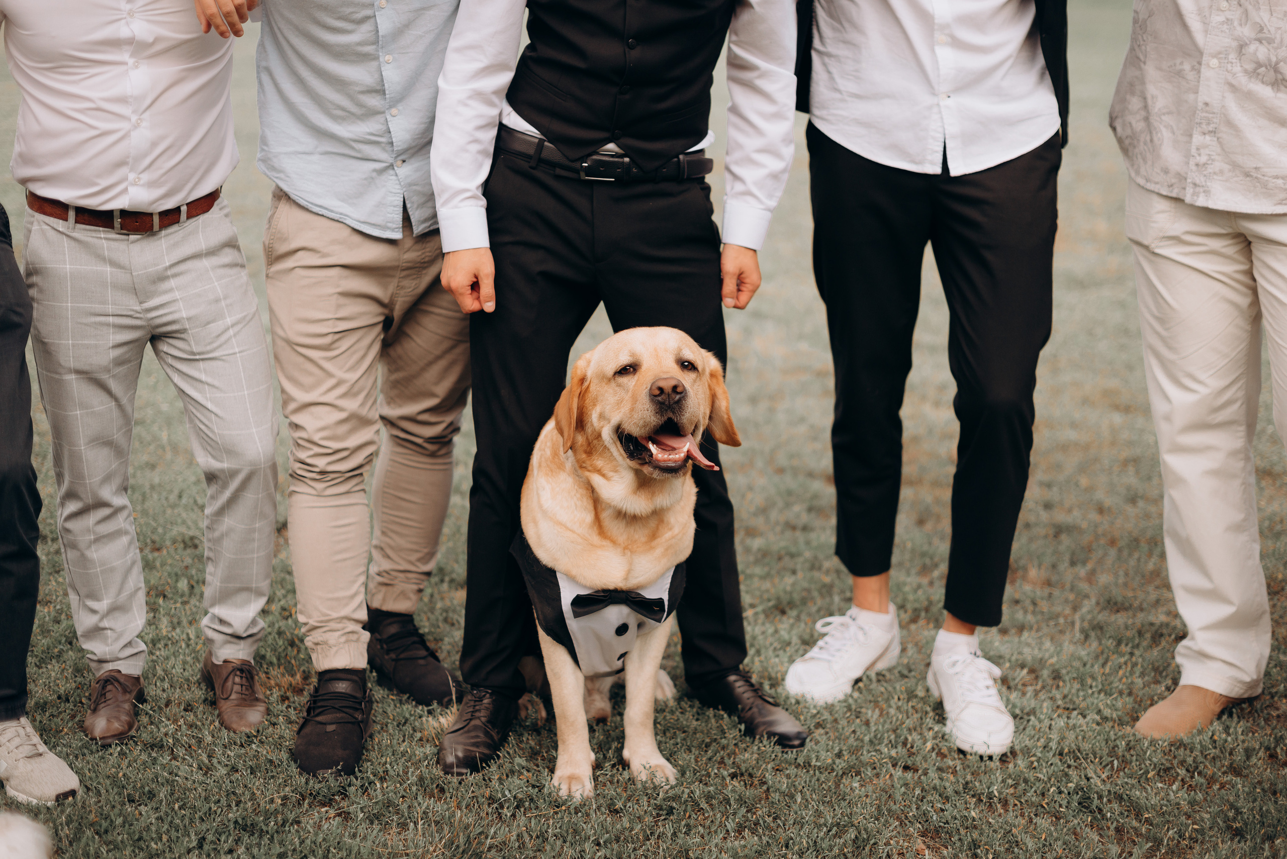 S&A. Весільний фотограф Черкаси Україна Вадим Биць