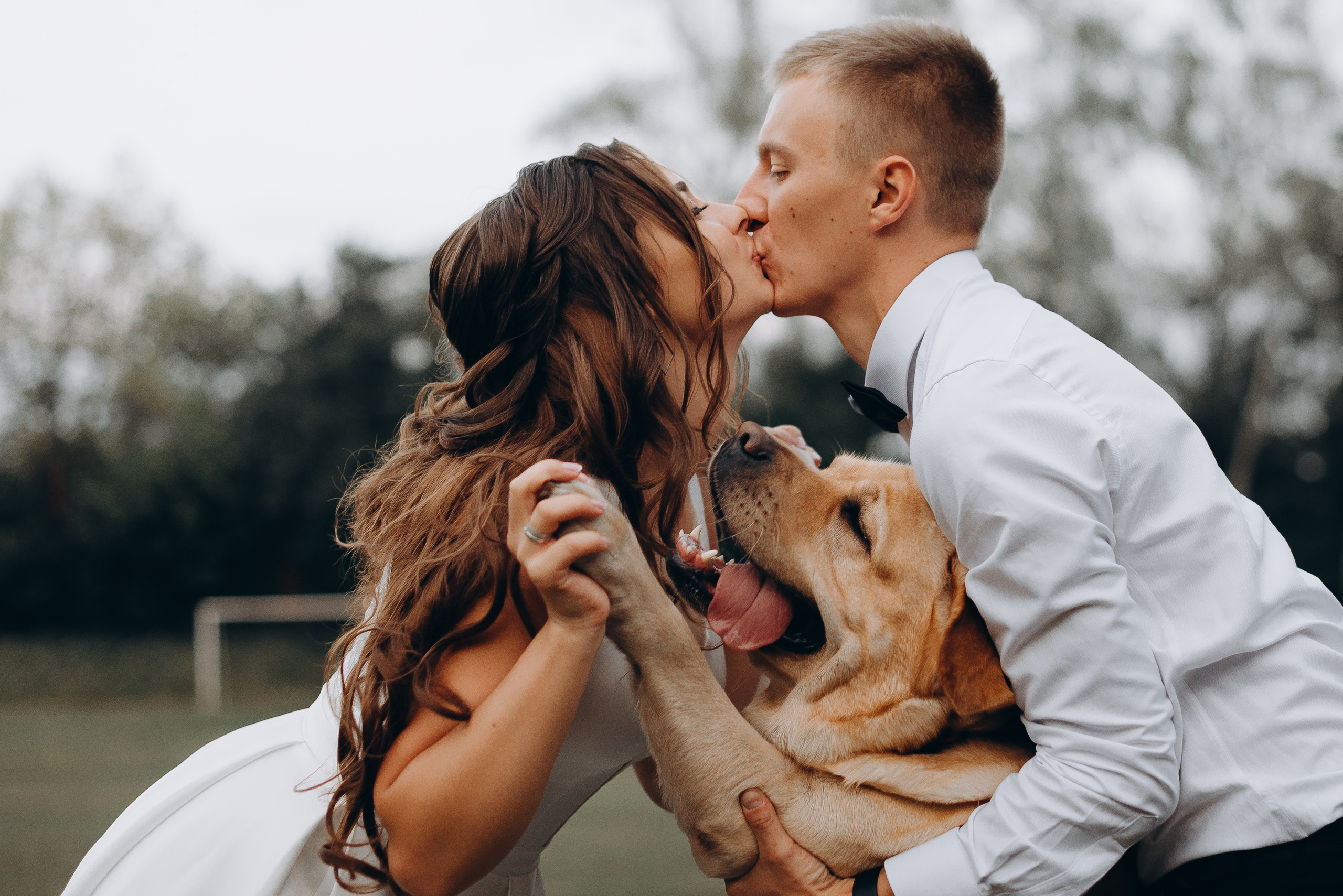 S&A. Весільний фотограф Черкаси Україна Вадим Биць