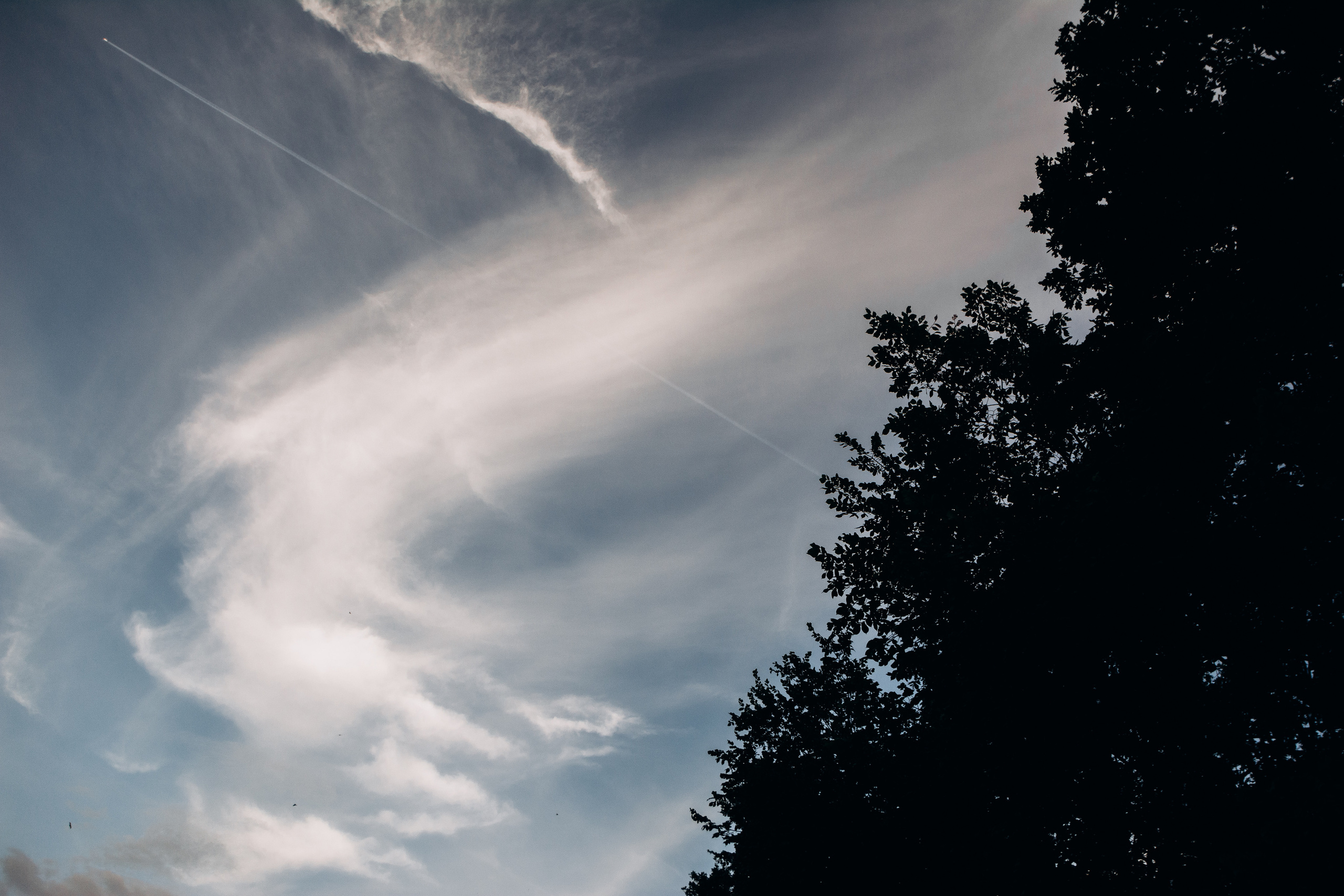 S&A. Весільний фотограф Черкаси Україна Вадим Биць