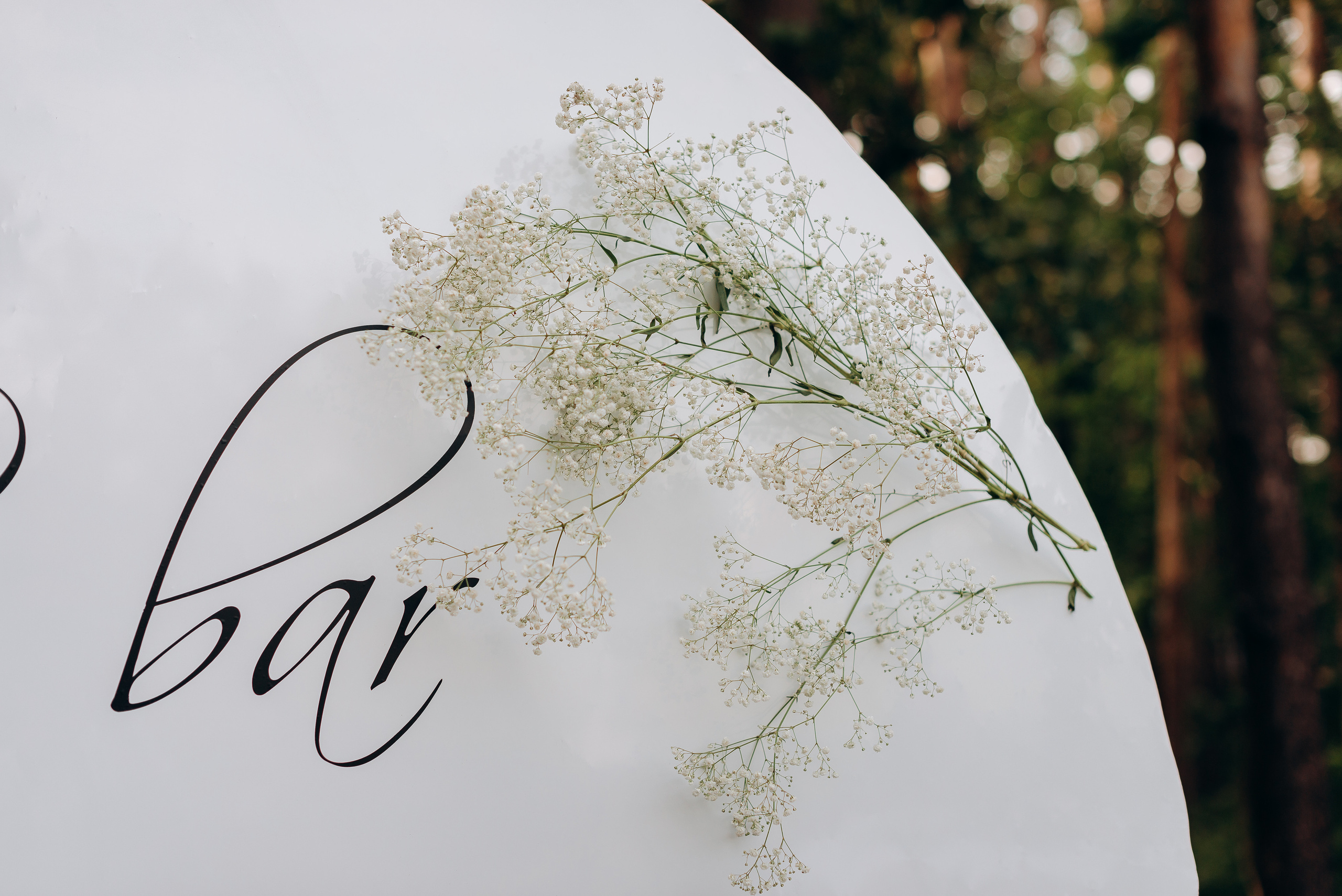 S&A. Весільний фотограф Черкаси Україна Вадим Биць