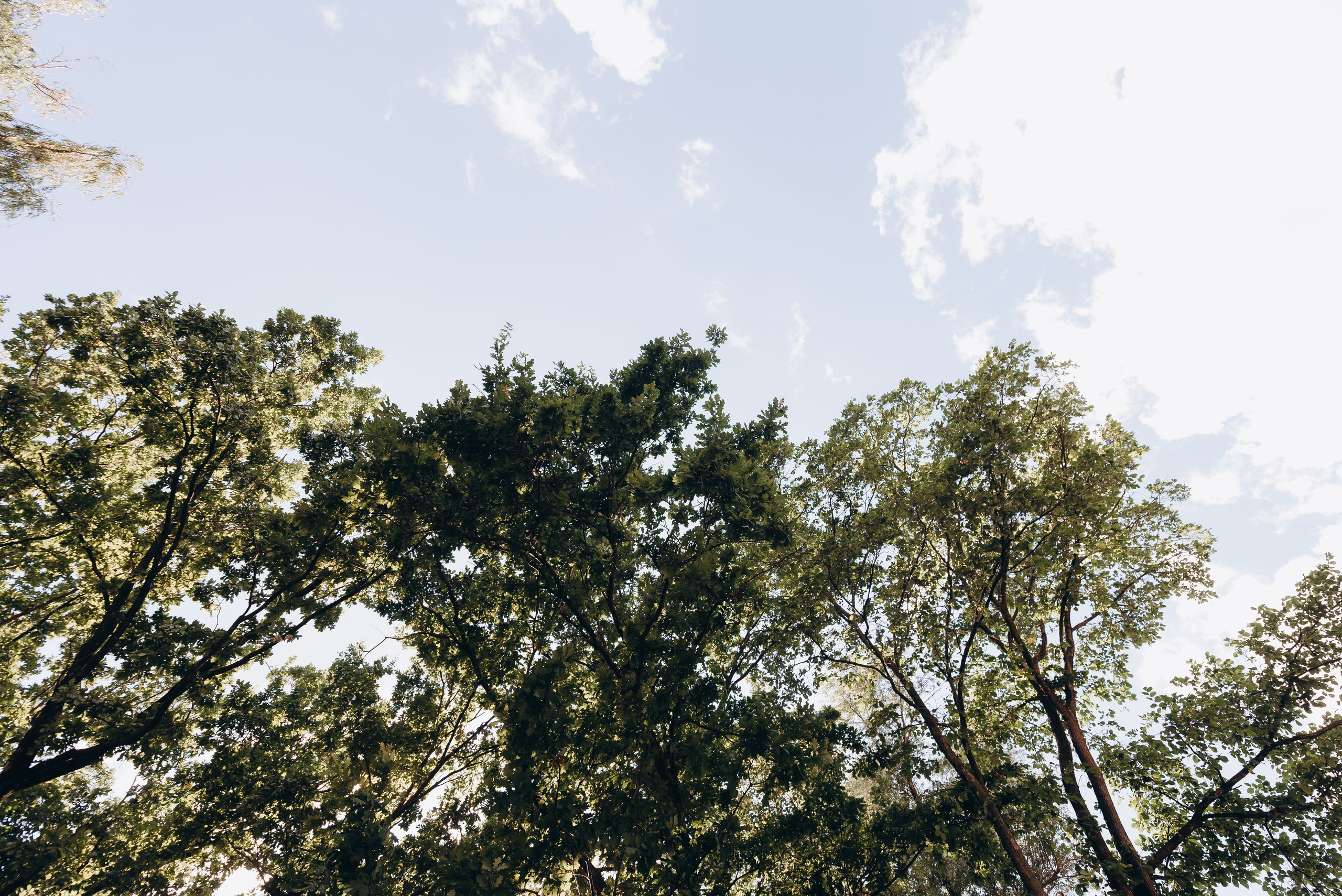 Міша та Яна 22,07,22. Весільний фотограф Черкаси Україна Вадим Биць