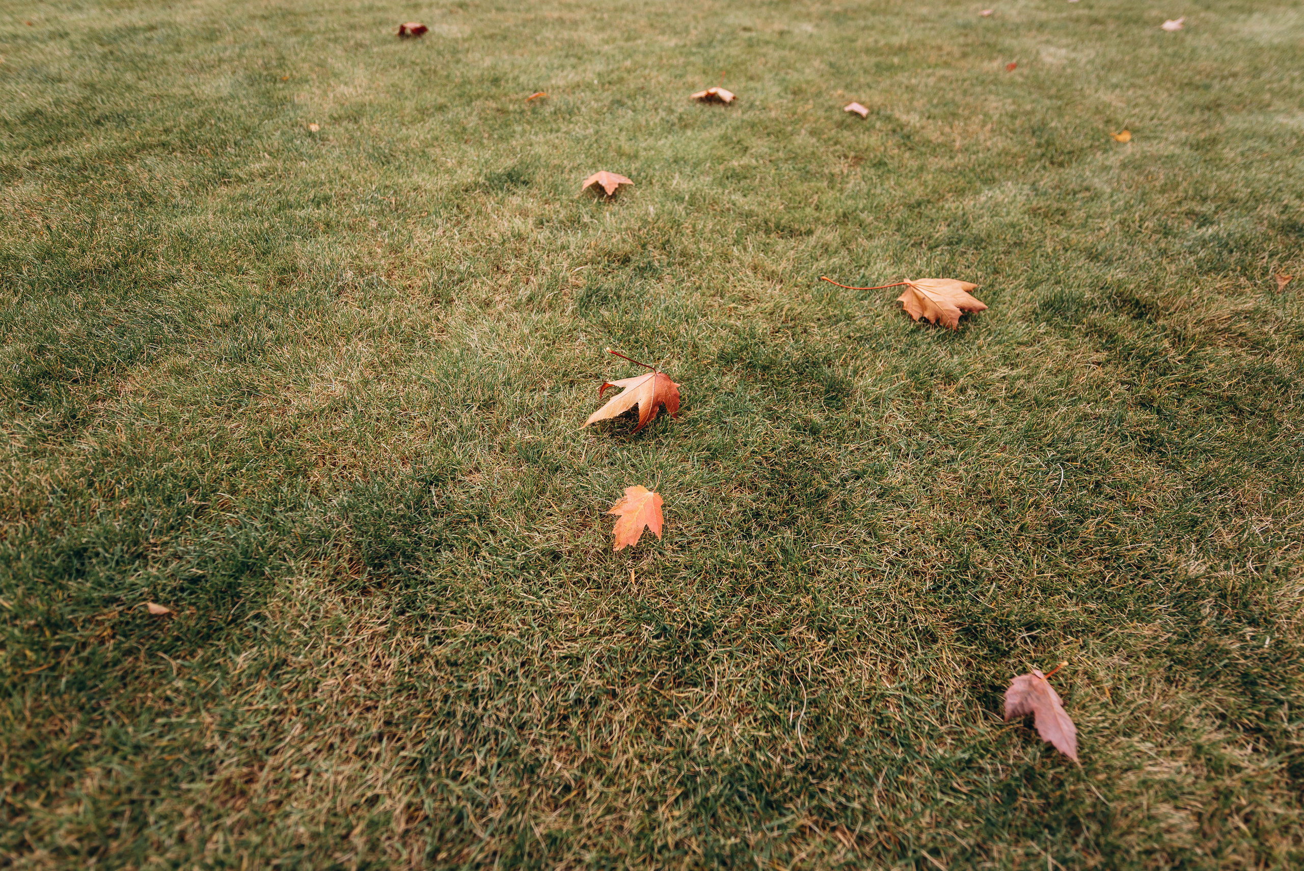 Ідеально. Весільний фотограф Черкаси Україна Вадим Биць
