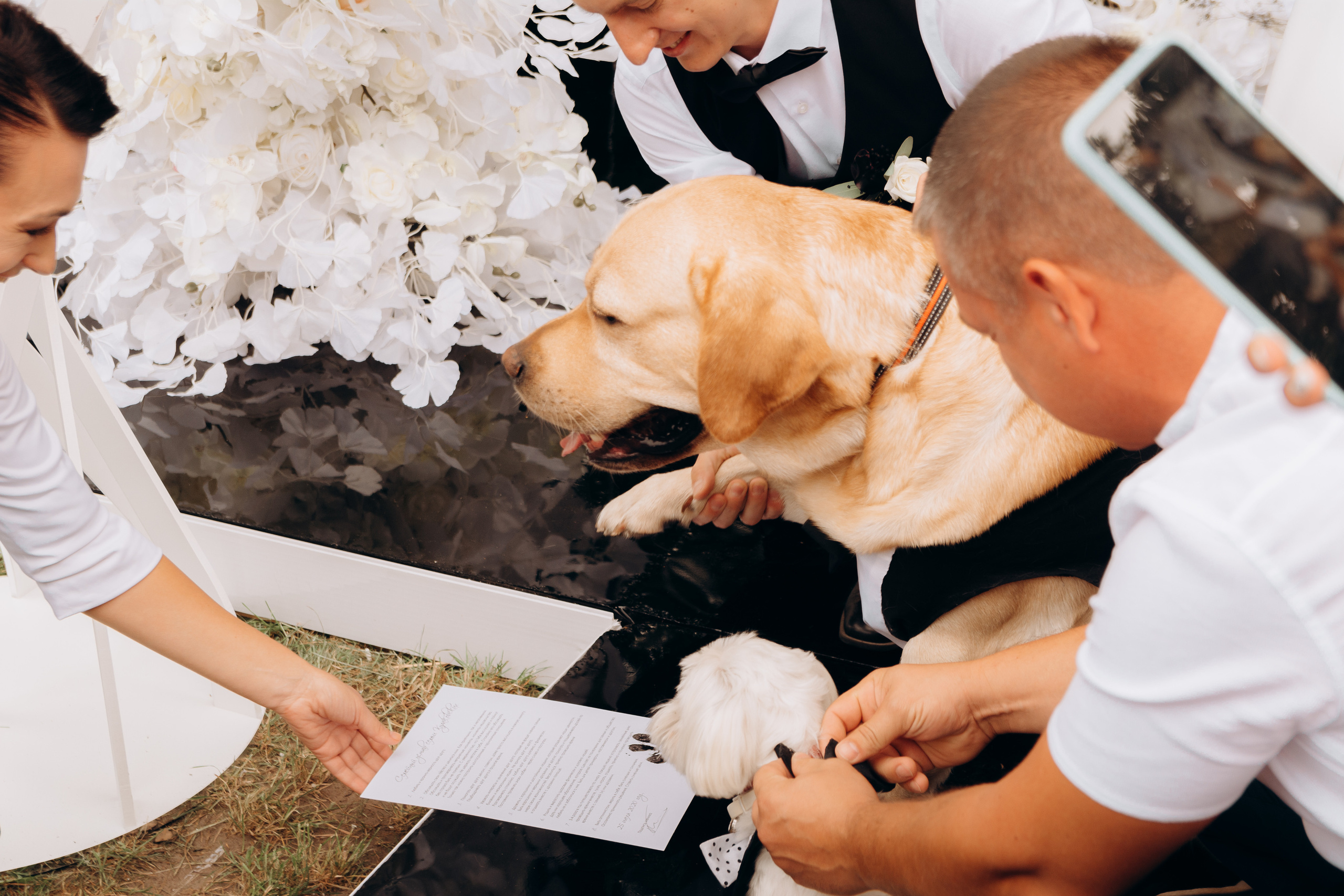S&A. Весільний фотограф Черкаси Україна Вадим Биць