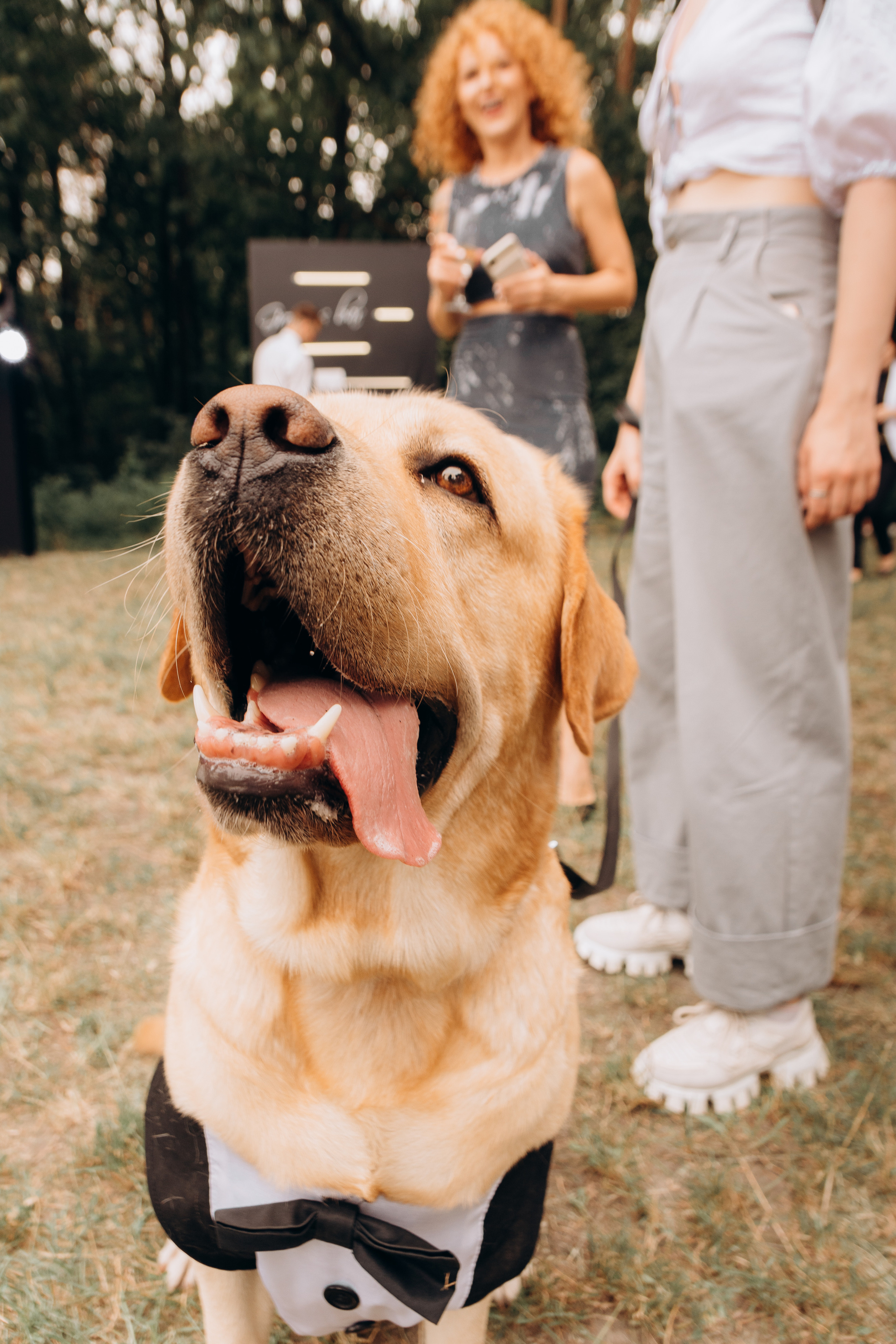 S&A. Весільний фотограф Черкаси Україна Вадим Биць