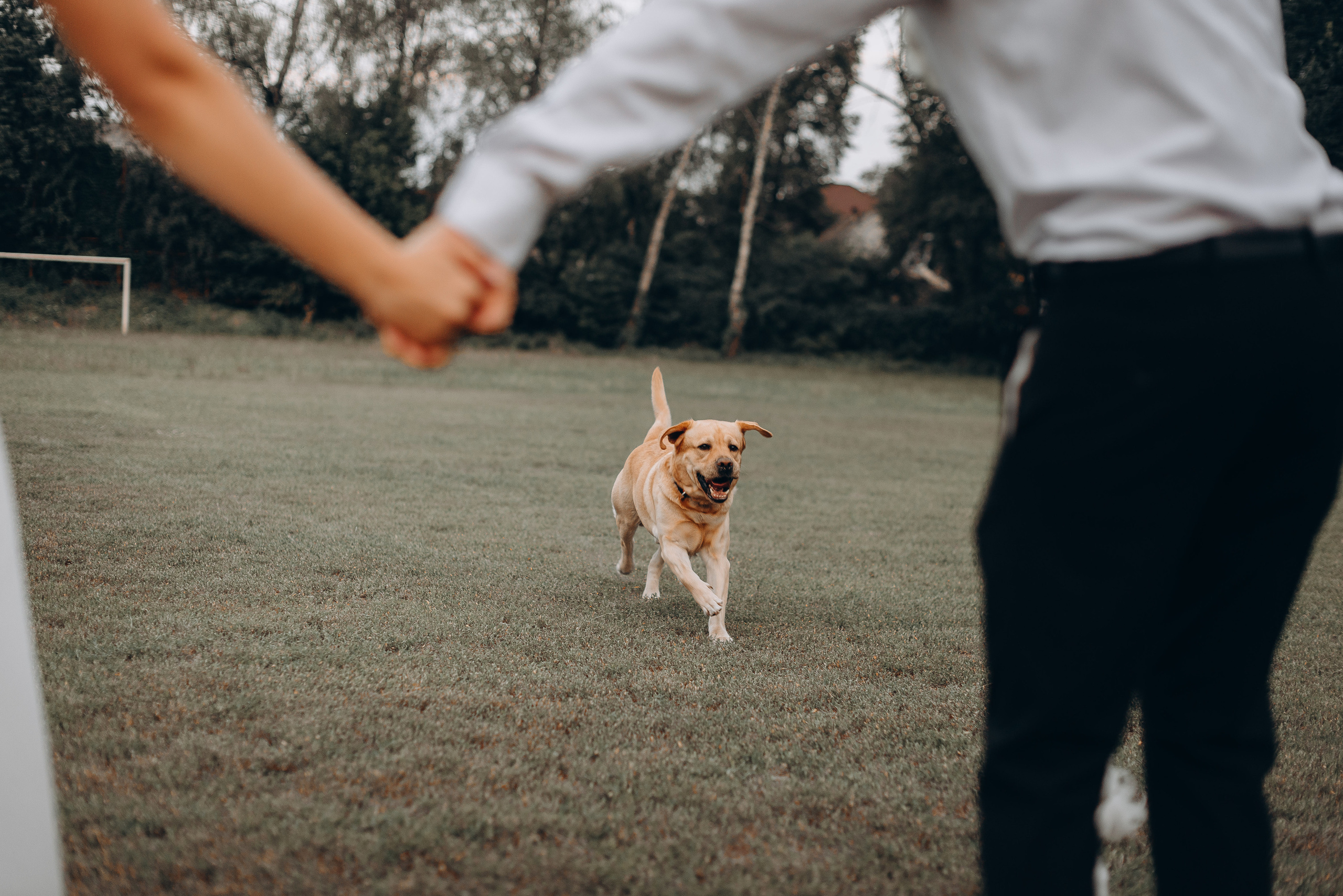 S&A. Весільний фотограф Черкаси Україна Вадим Биць