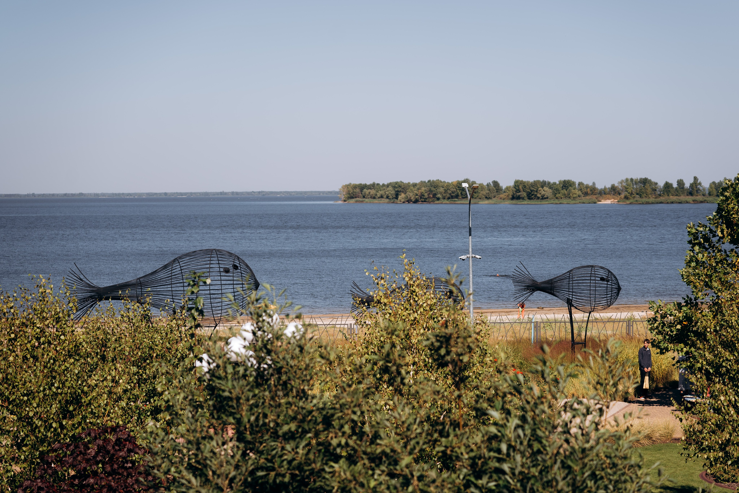 WEDDING D & К. Весільний фотограф Черкаси Україна Вадим Биць