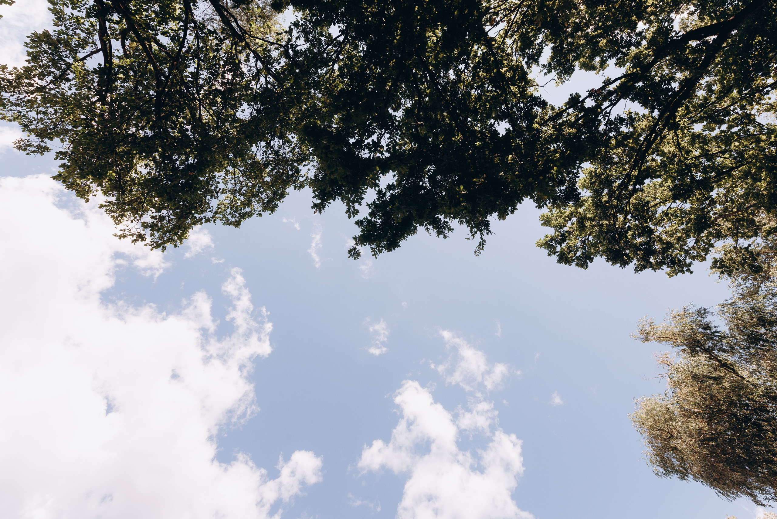 Міша та Яна 22,07,22. Весільний фотограф Черкаси Україна Вадим Биць