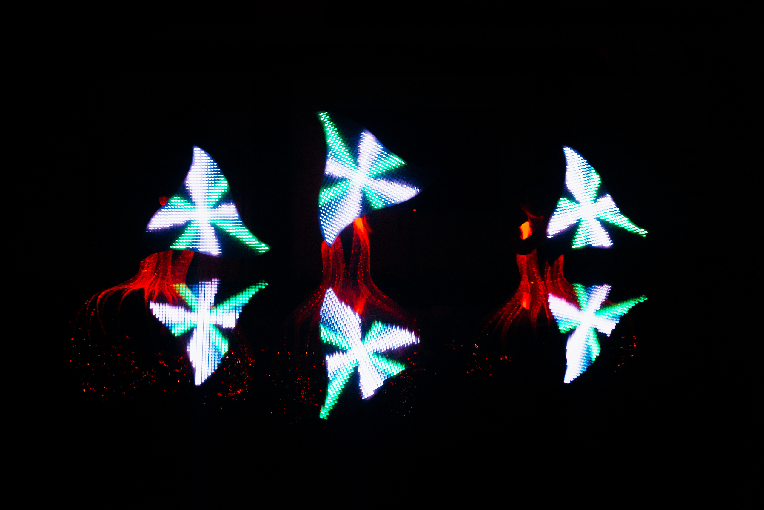 K&D. Весільний фотограф Черкаси Україна Вадим Биць