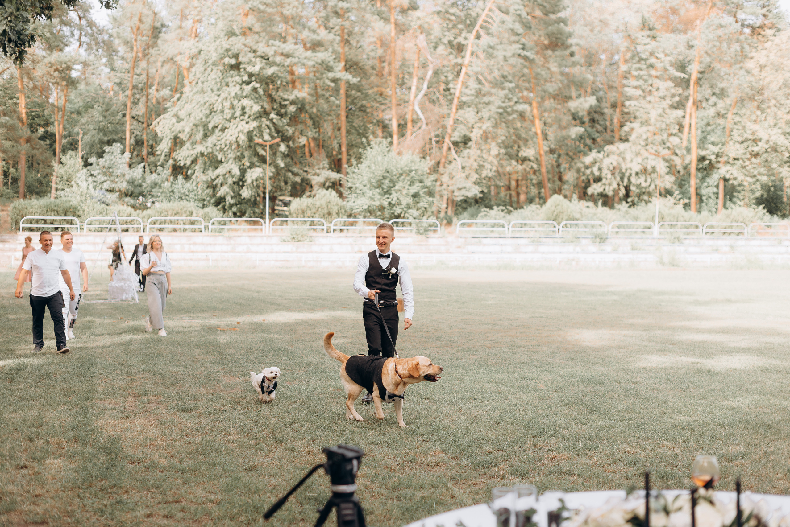 S&A. Весільний фотограф Черкаси Україна Вадим Биць