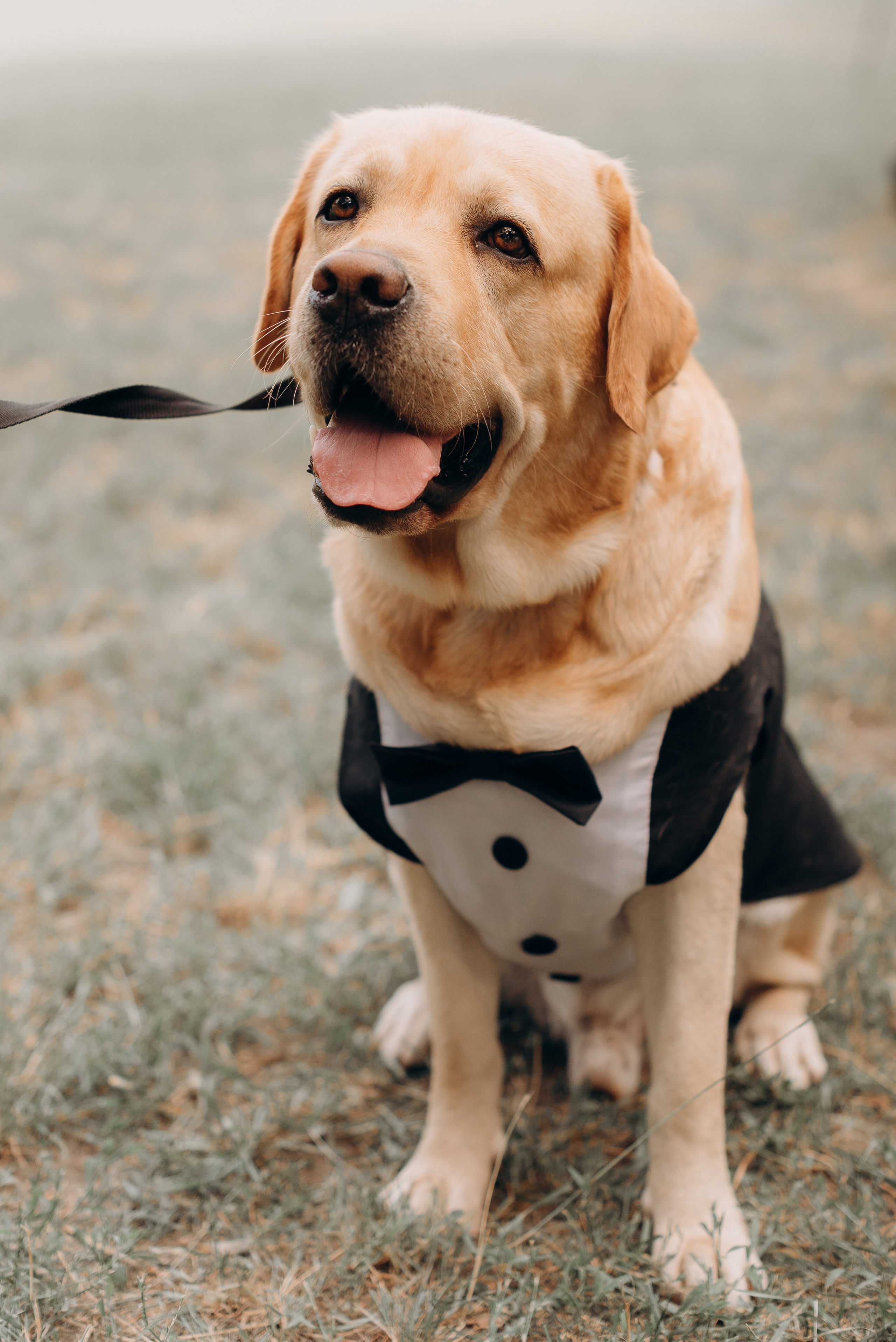 S&A. Весільний фотограф Черкаси Україна Вадим Биць