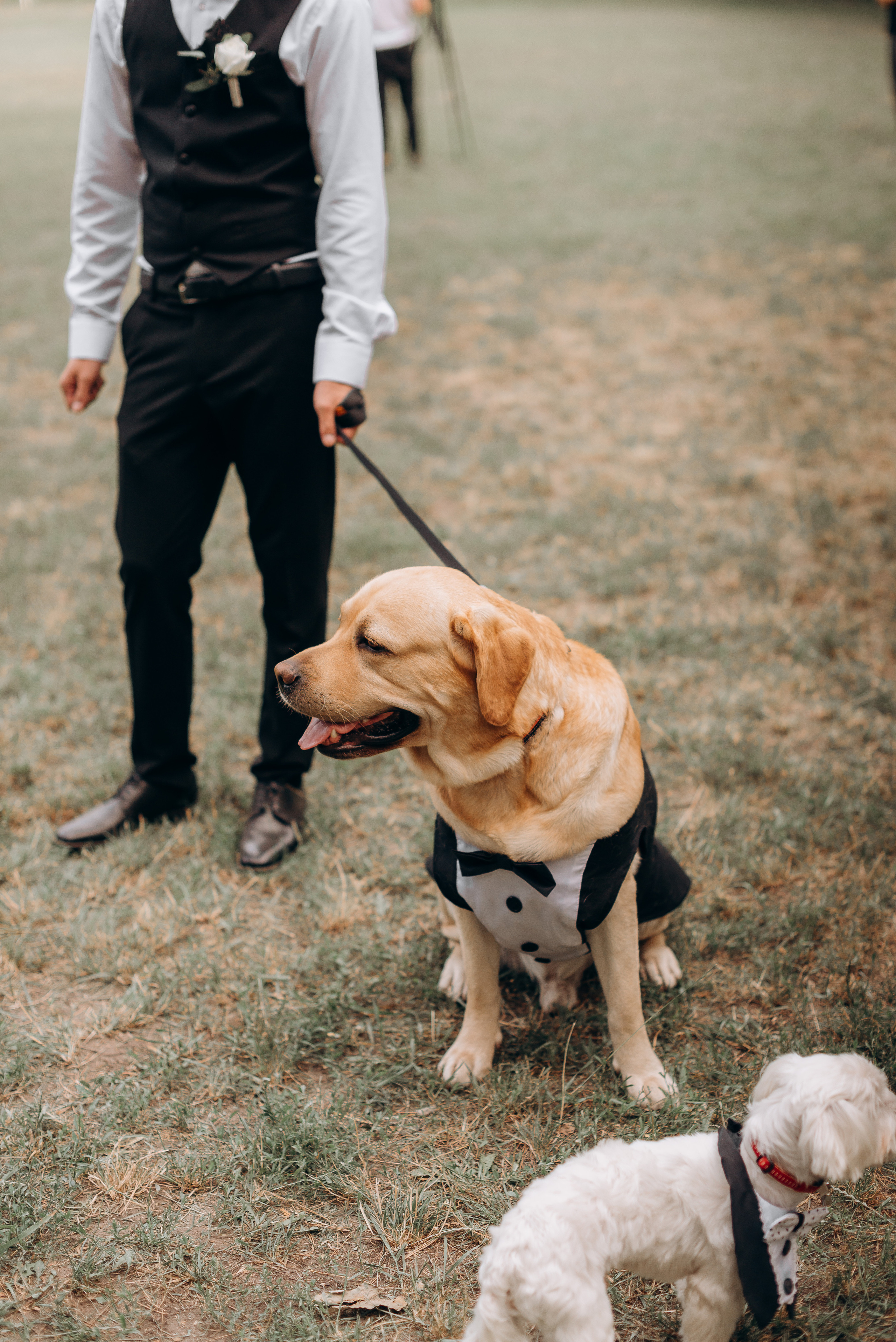 S&A. Весільний фотограф Черкаси Україна Вадим Биць