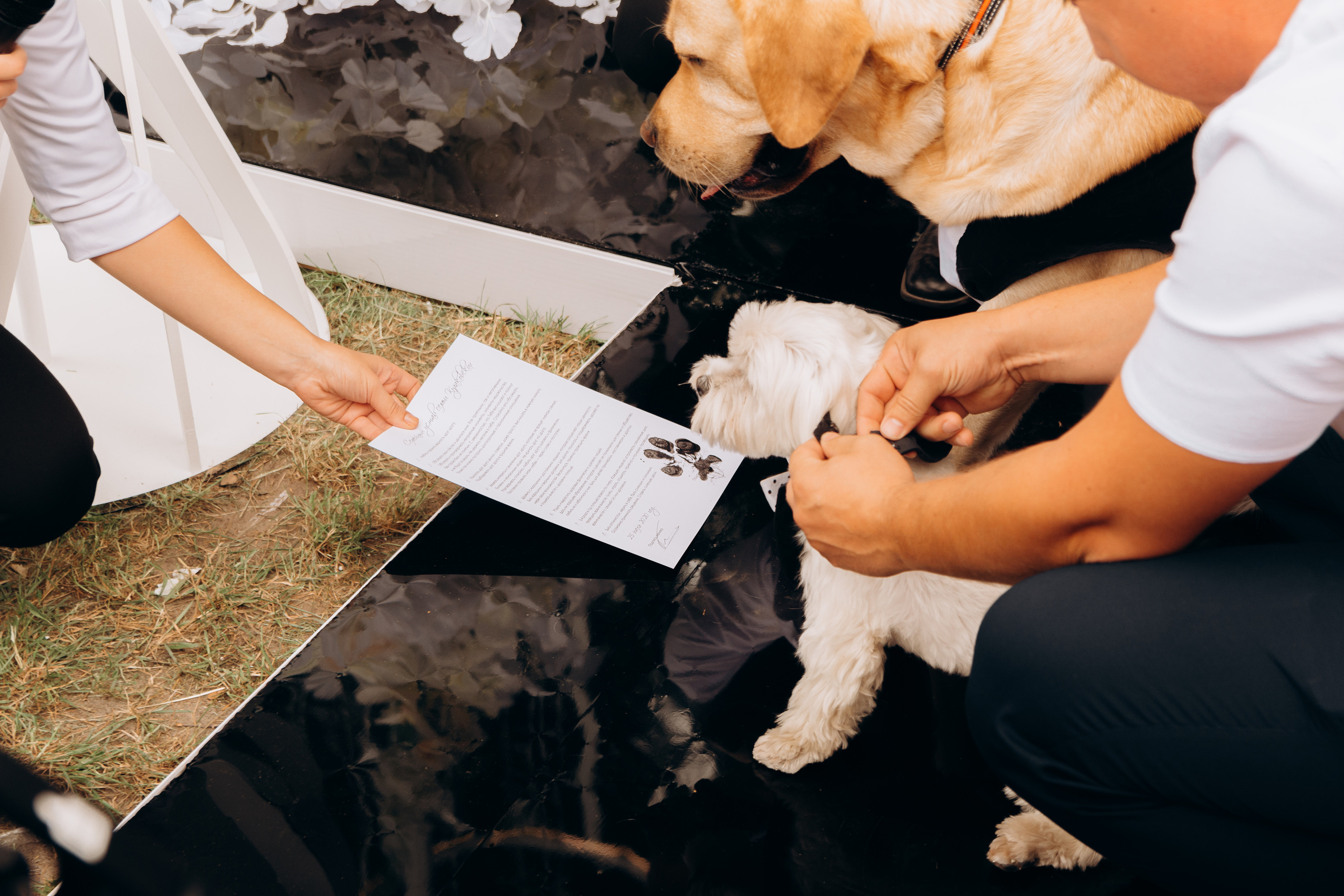 S&A. Весільний фотограф Черкаси Україна Вадим Биць