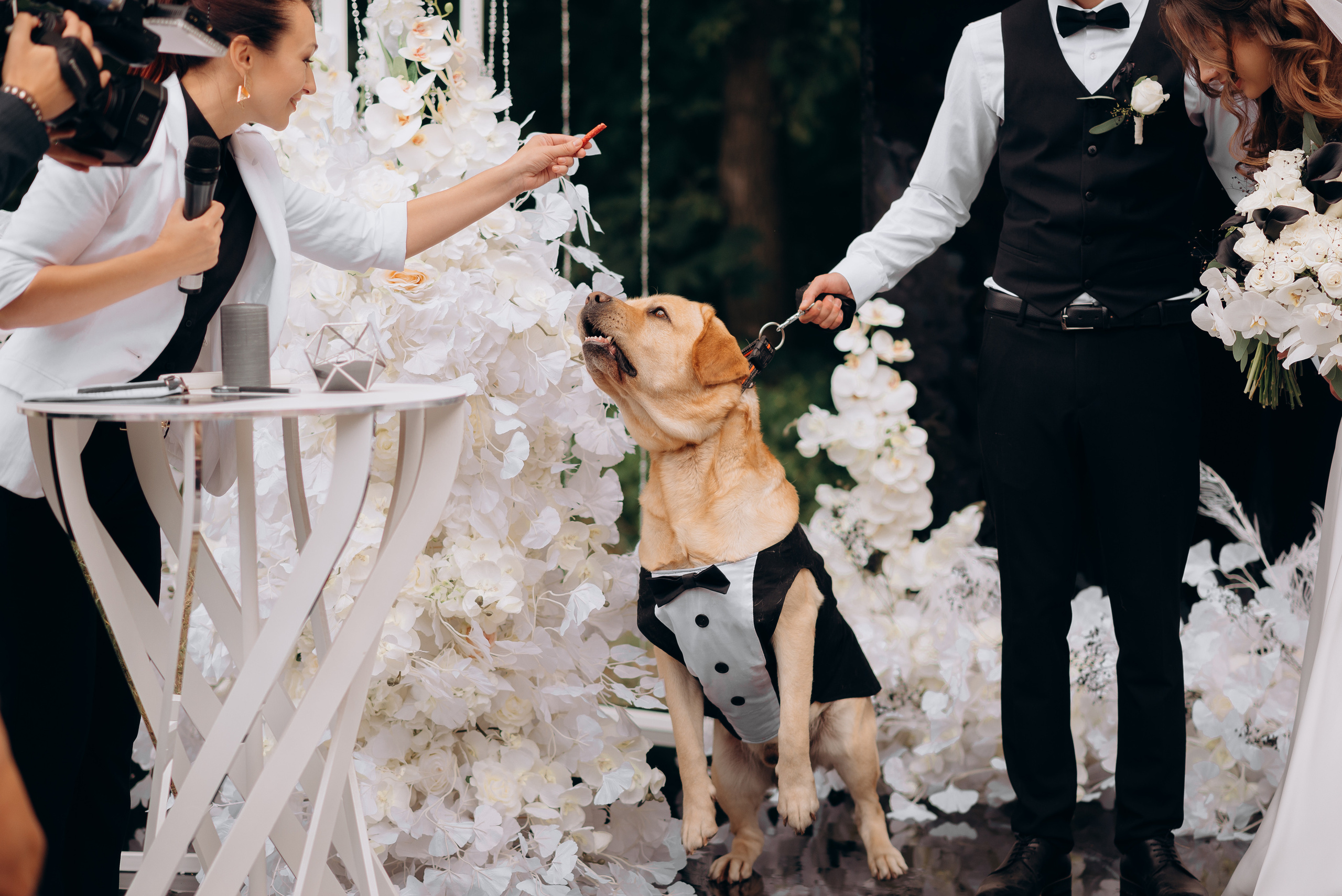 S&A. Весільний фотограф Черкаси Україна Вадим Биць