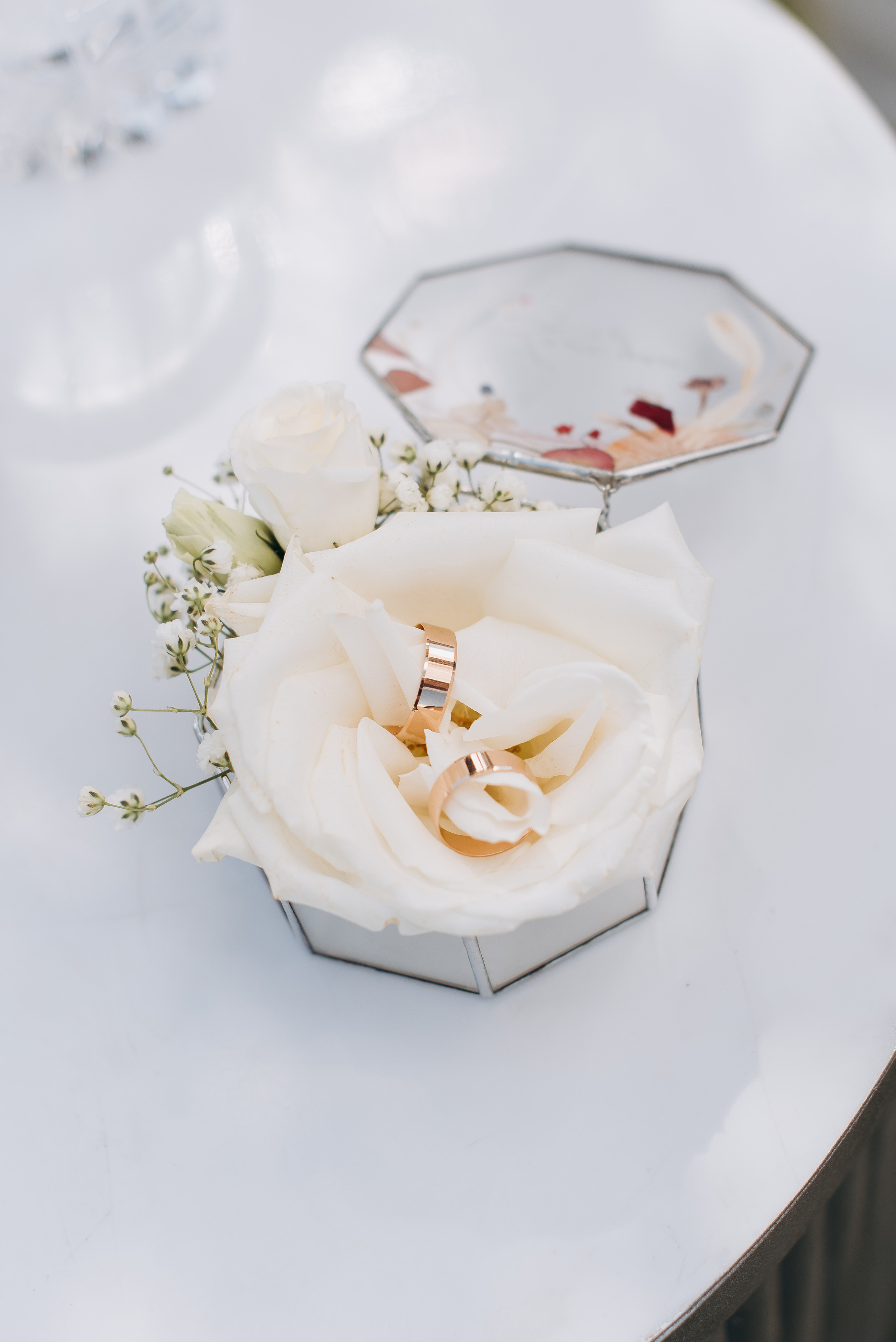 Анастасия и Максим. Весільний фотограф Черкаси Україна Вадим Биць