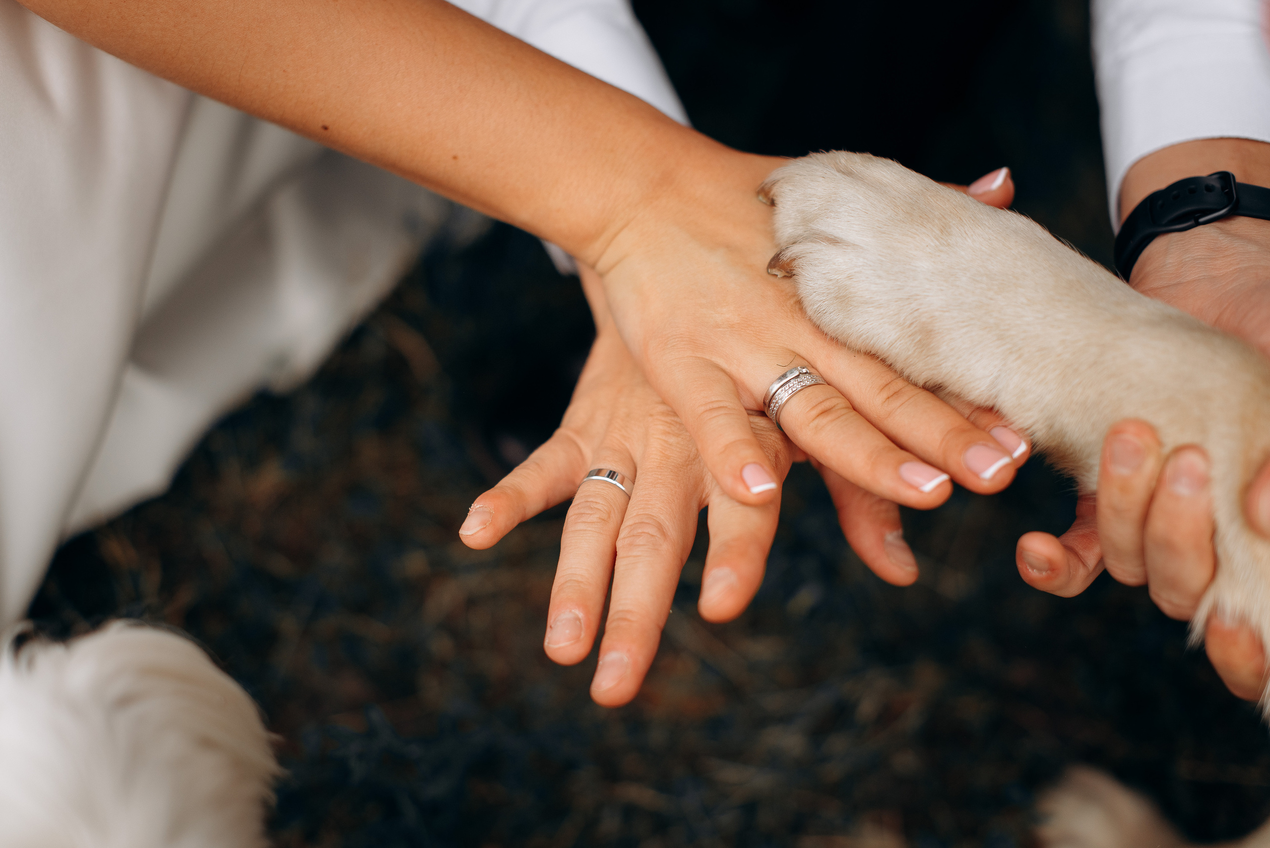 S&A. Весільний фотограф Черкаси Україна Вадим Биць