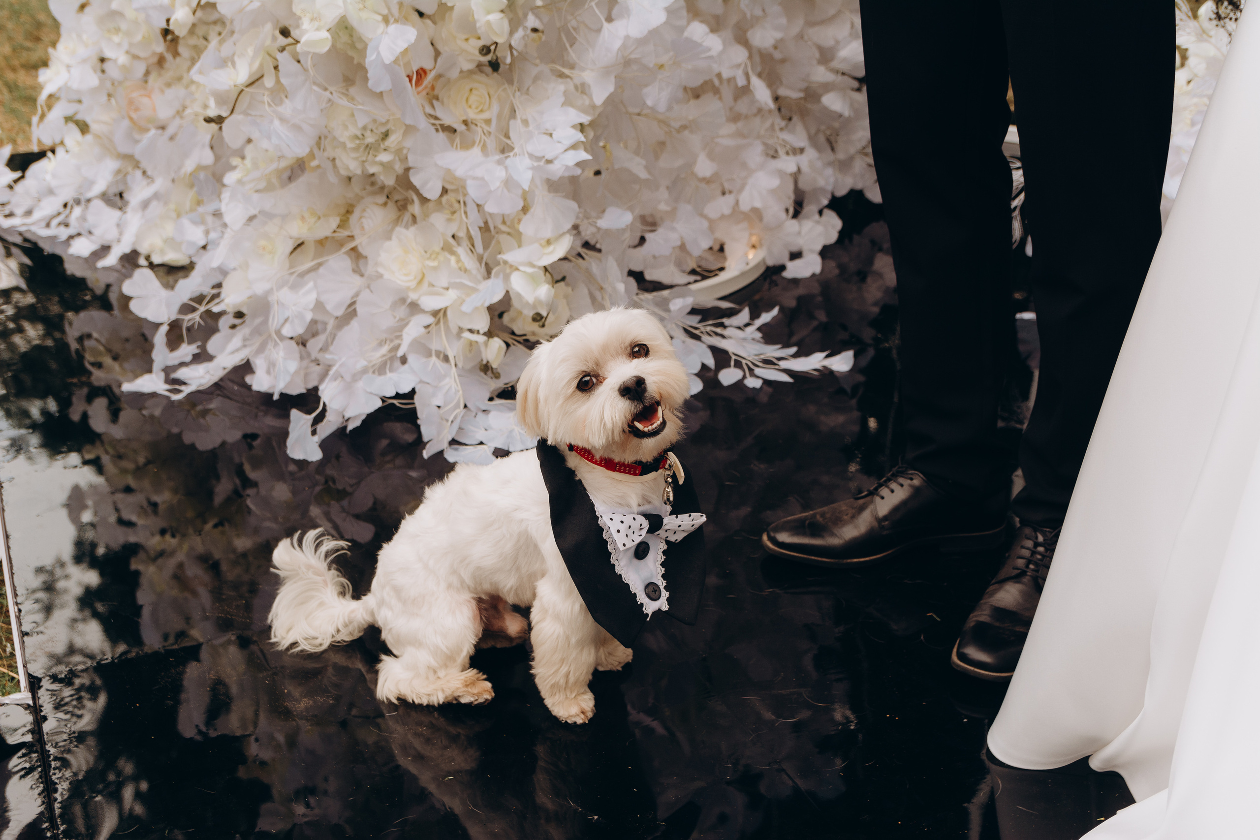 S&A. Весільний фотограф Черкаси Україна Вадим Биць