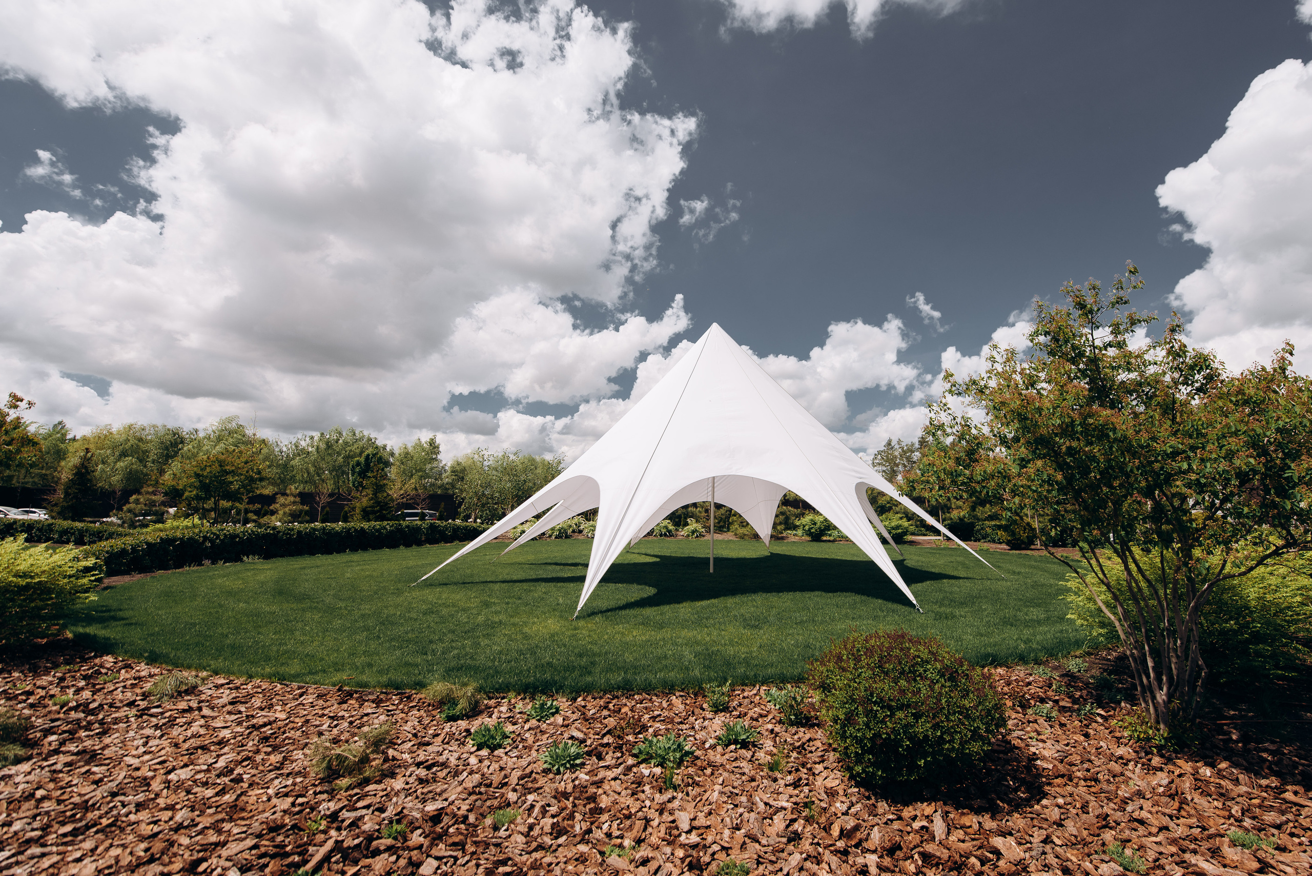 Анастасия и Максим. Весільний фотограф Черкаси Україна Вадим Биць