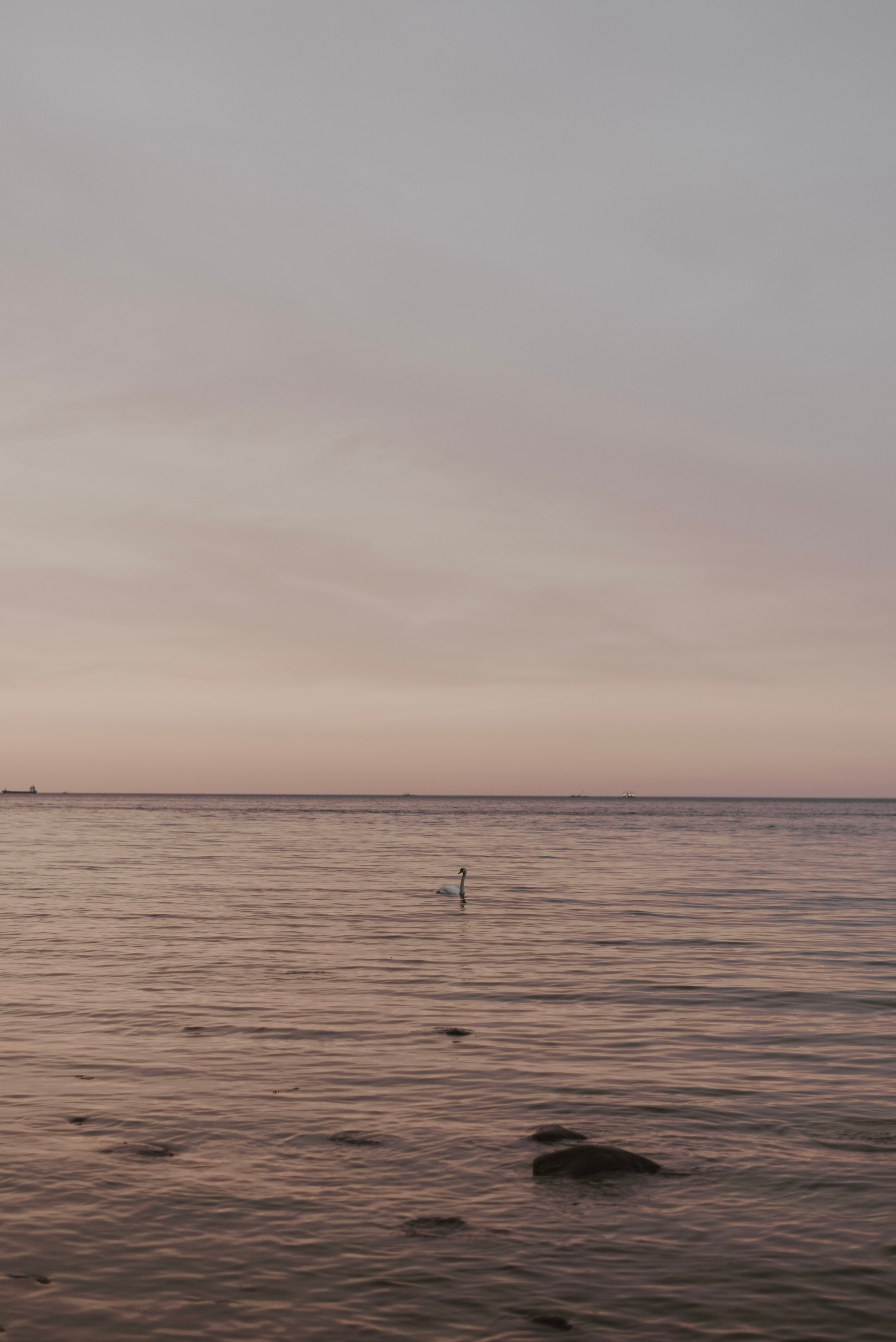 Ola & Daniel. Naturalnie pięknie - Klaudia Rowicka