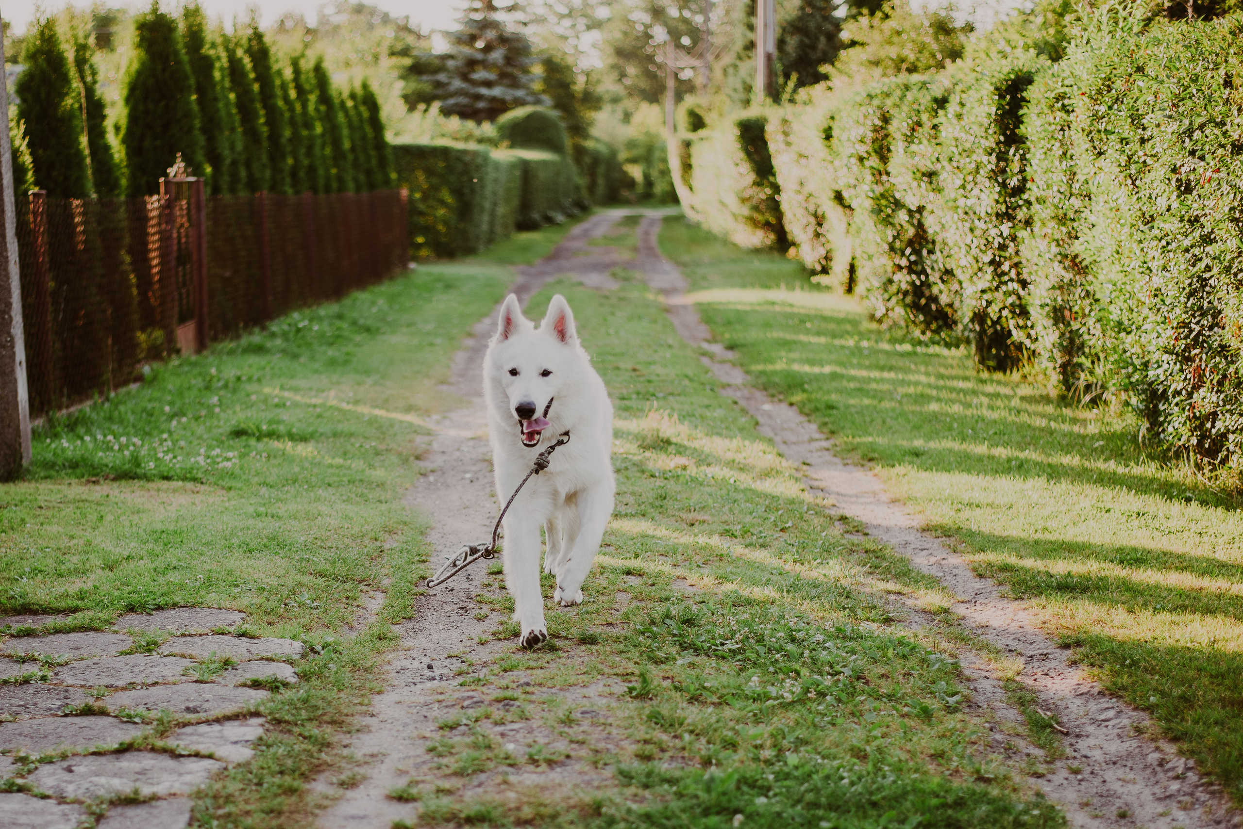 Asia & Patryk. Naturalnie pięknie - Klaudia Rowicka
