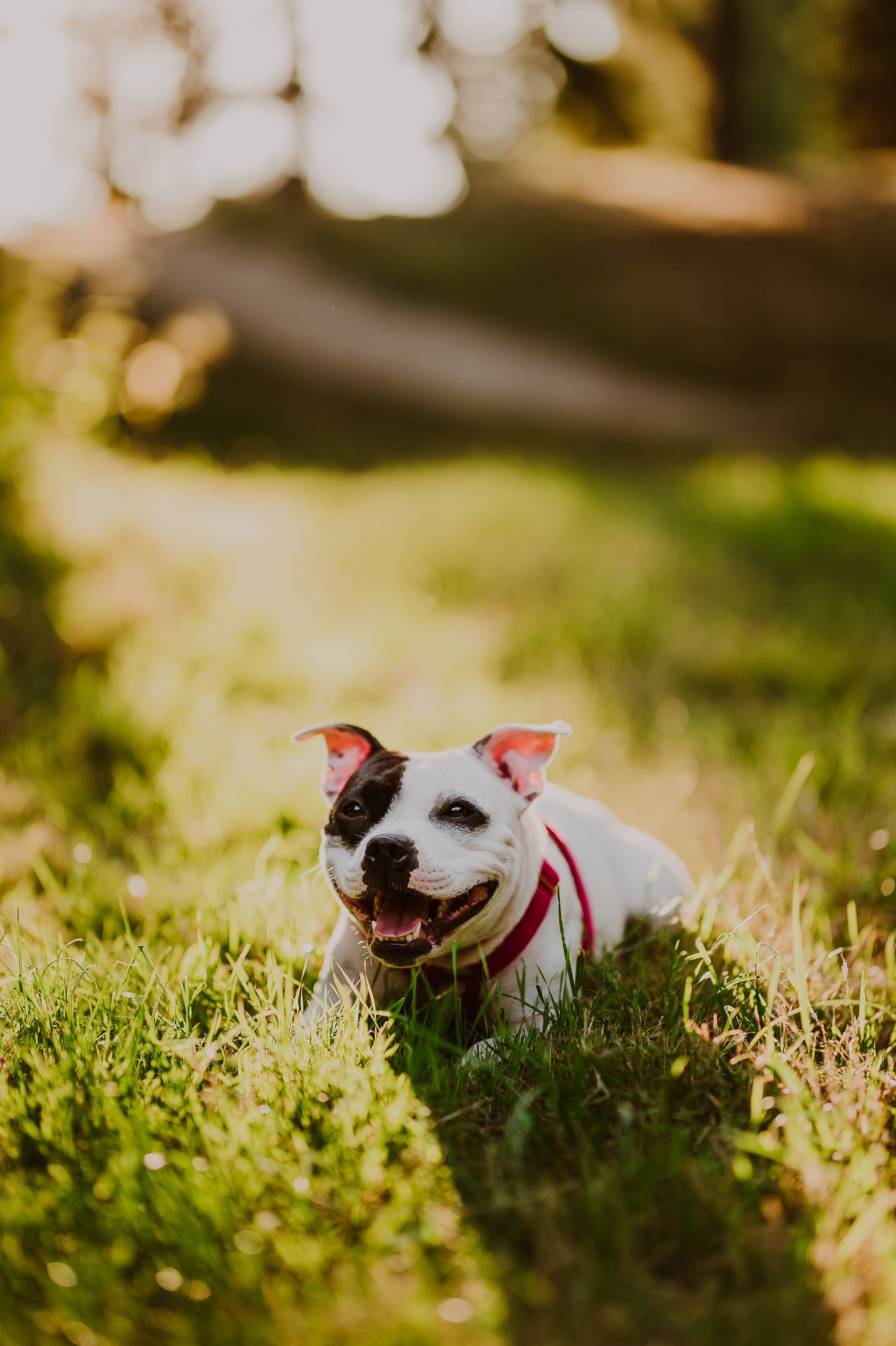 Staffik - Furia. Naturalnie pięknie - Klaudia Rowicka