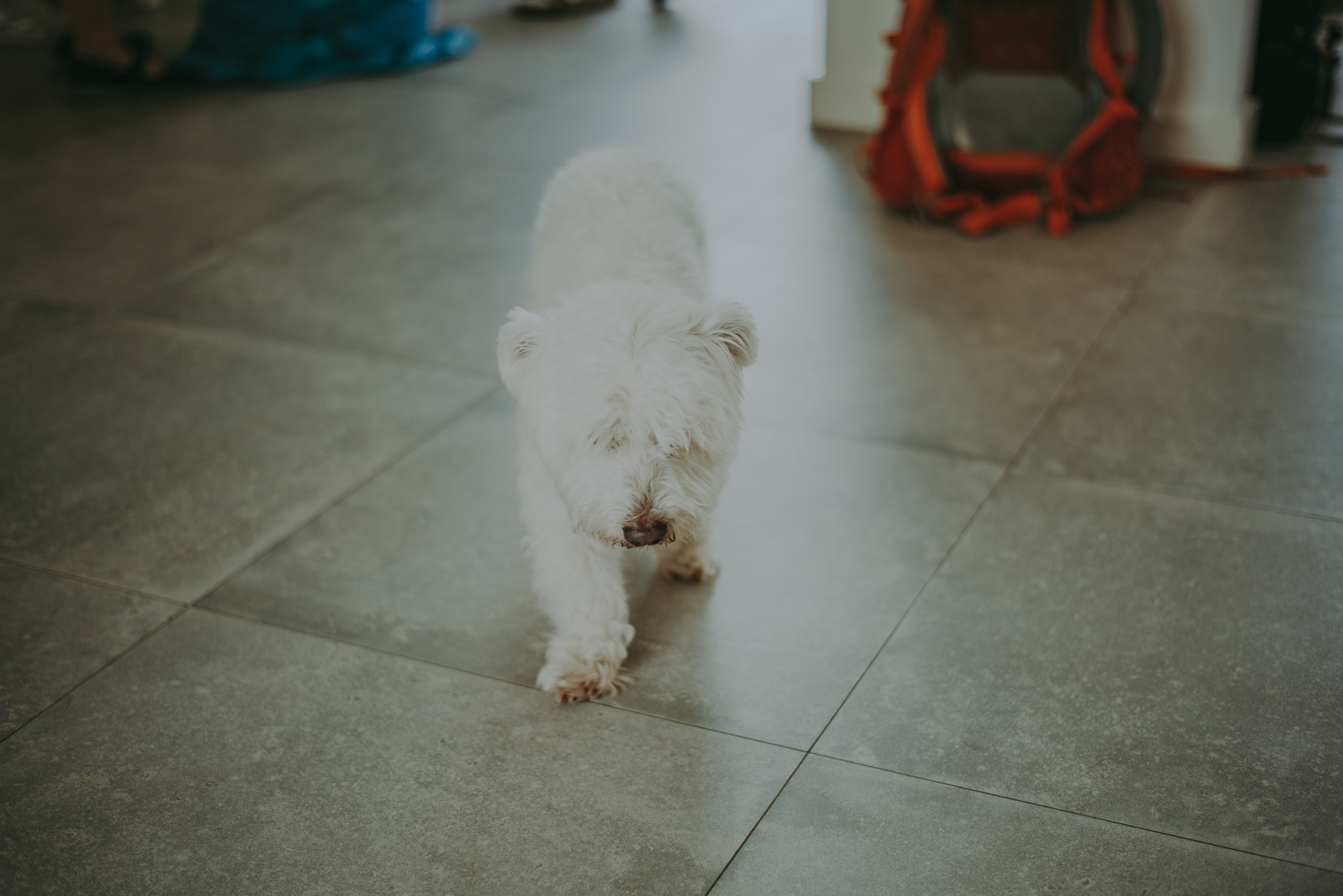 Mania & Andrzej w Folwark Łochów. Naturalnie pięknie - Klaudia Rowicka