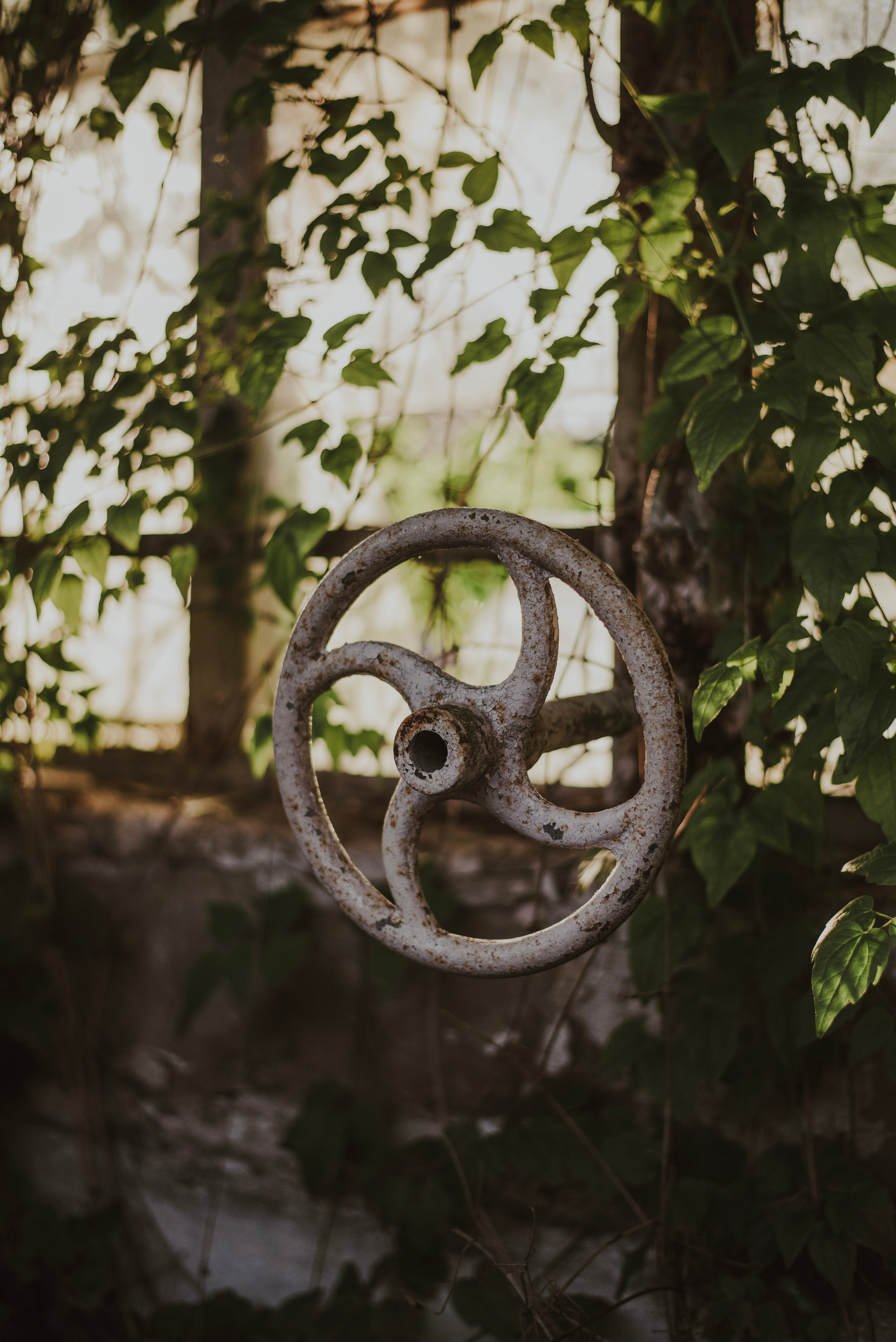 Ola & Daniel. Naturalnie pięknie - Klaudia Rowicka