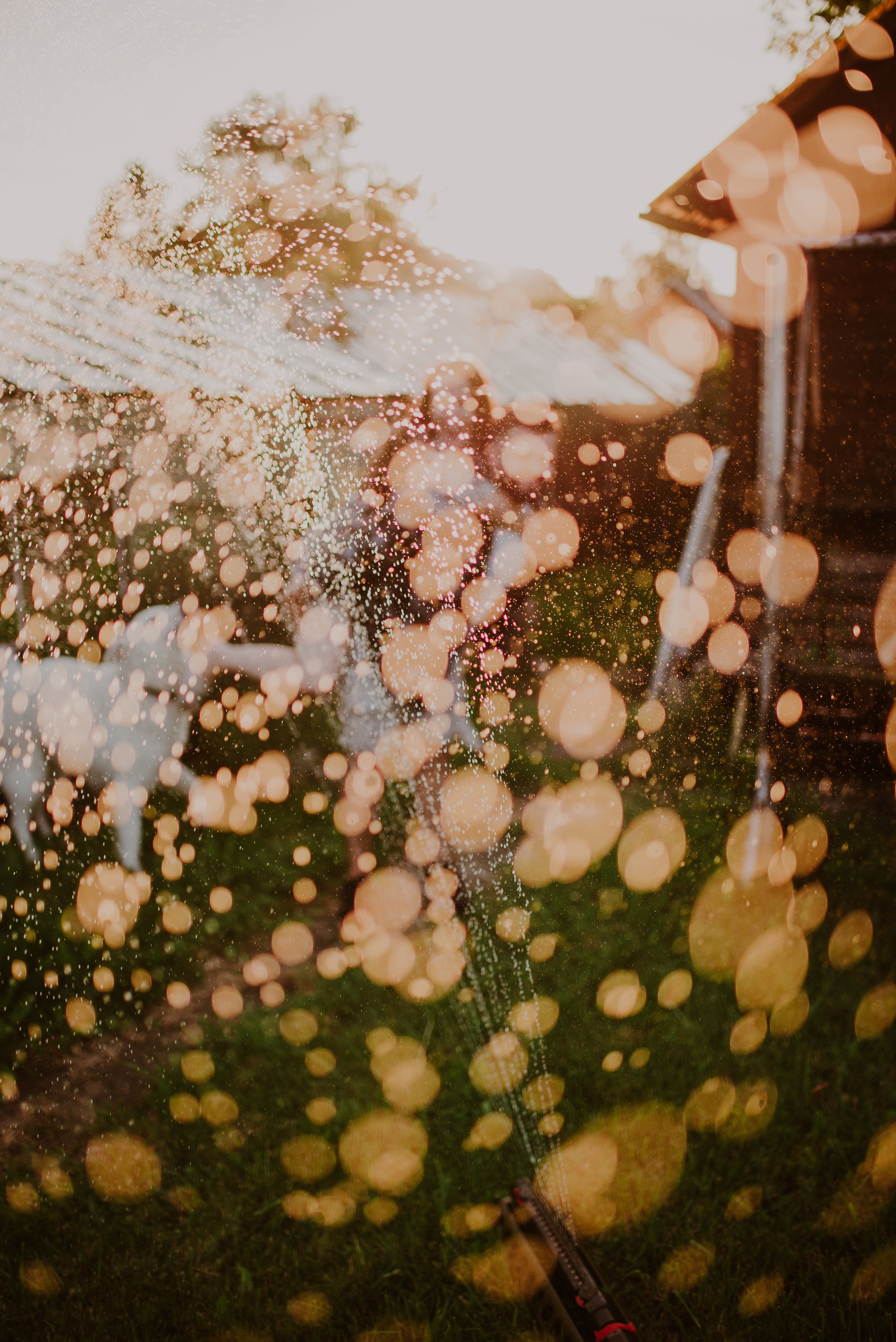 Asia & Patryk. Naturalnie pięknie - Klaudia Rowicka