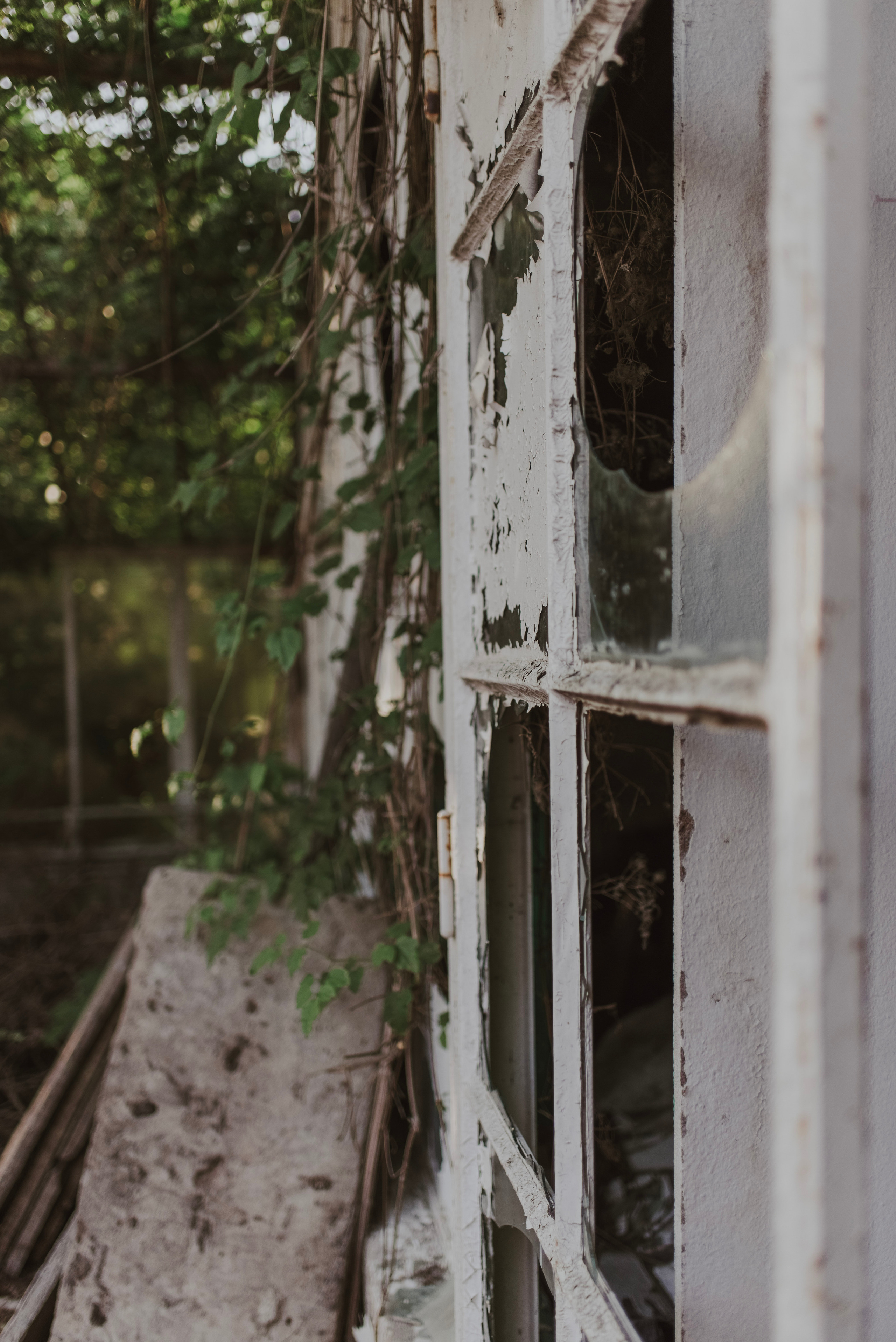 Ola & Daniel. Naturalnie pięknie - Klaudia Rowicka