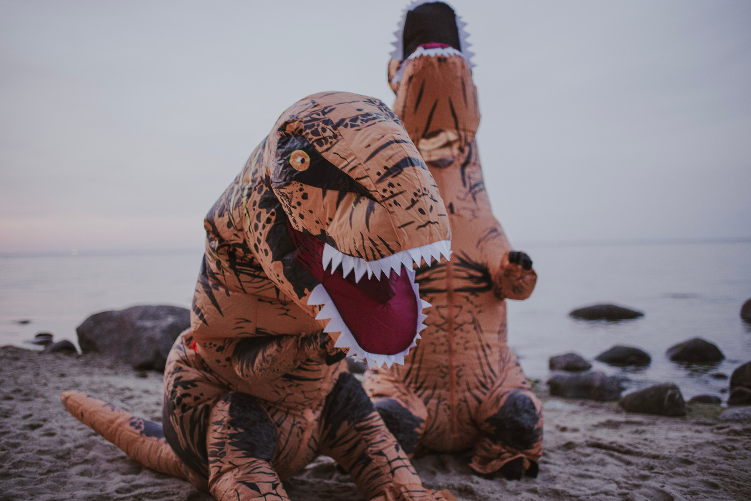 Ola & Daniel. Naturalnie pięknie - Klaudia Rowicka